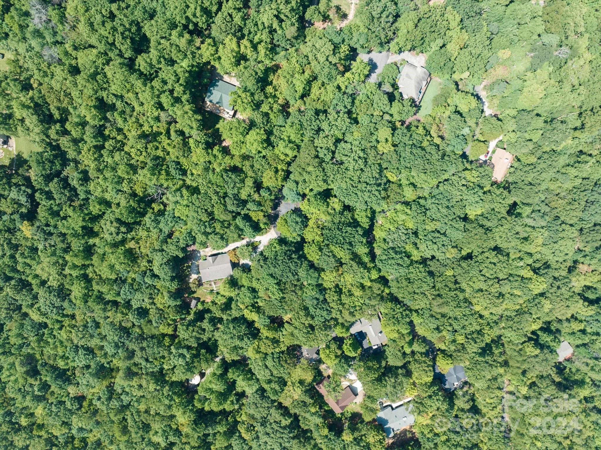 272 Bluebird Road