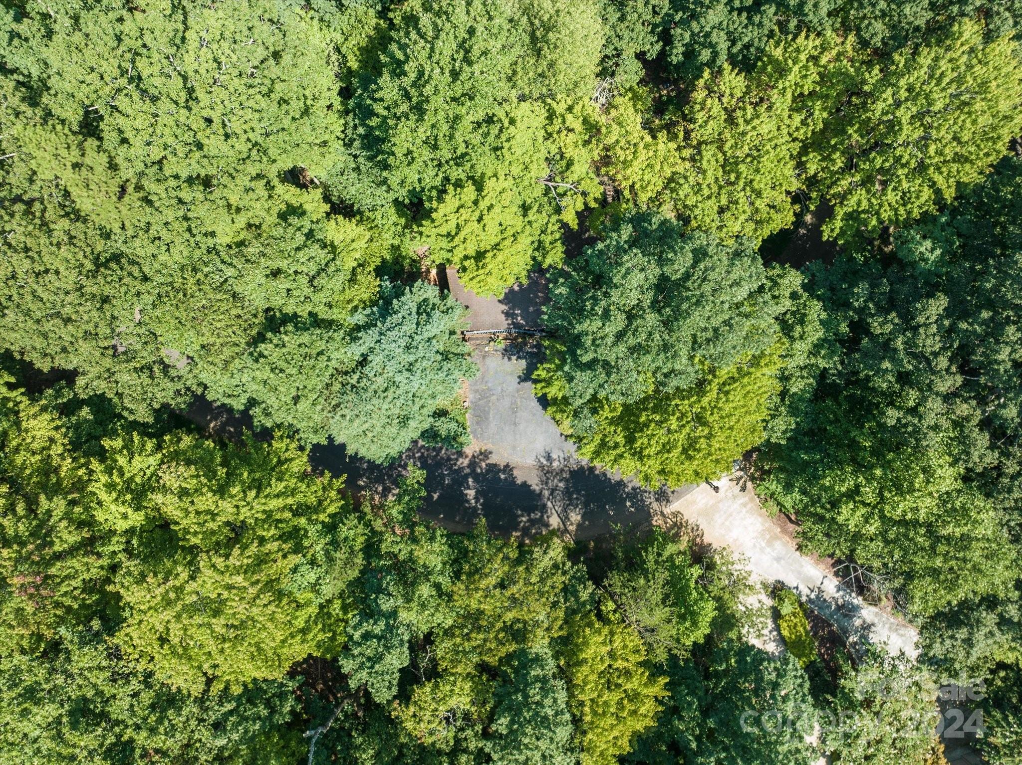 272 Bluebird Road