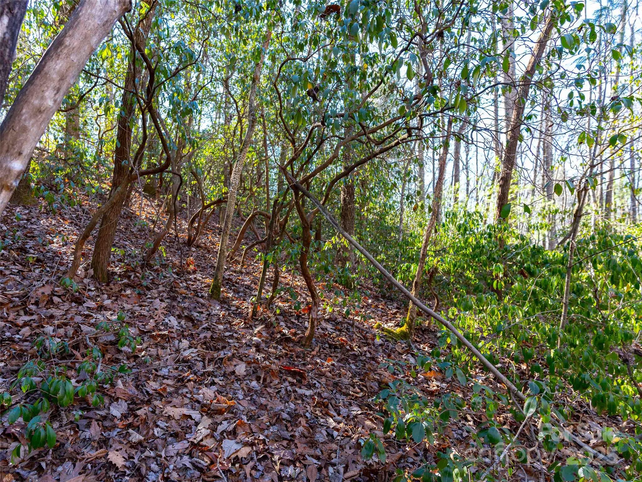000 Chattooga Run Unit: 306