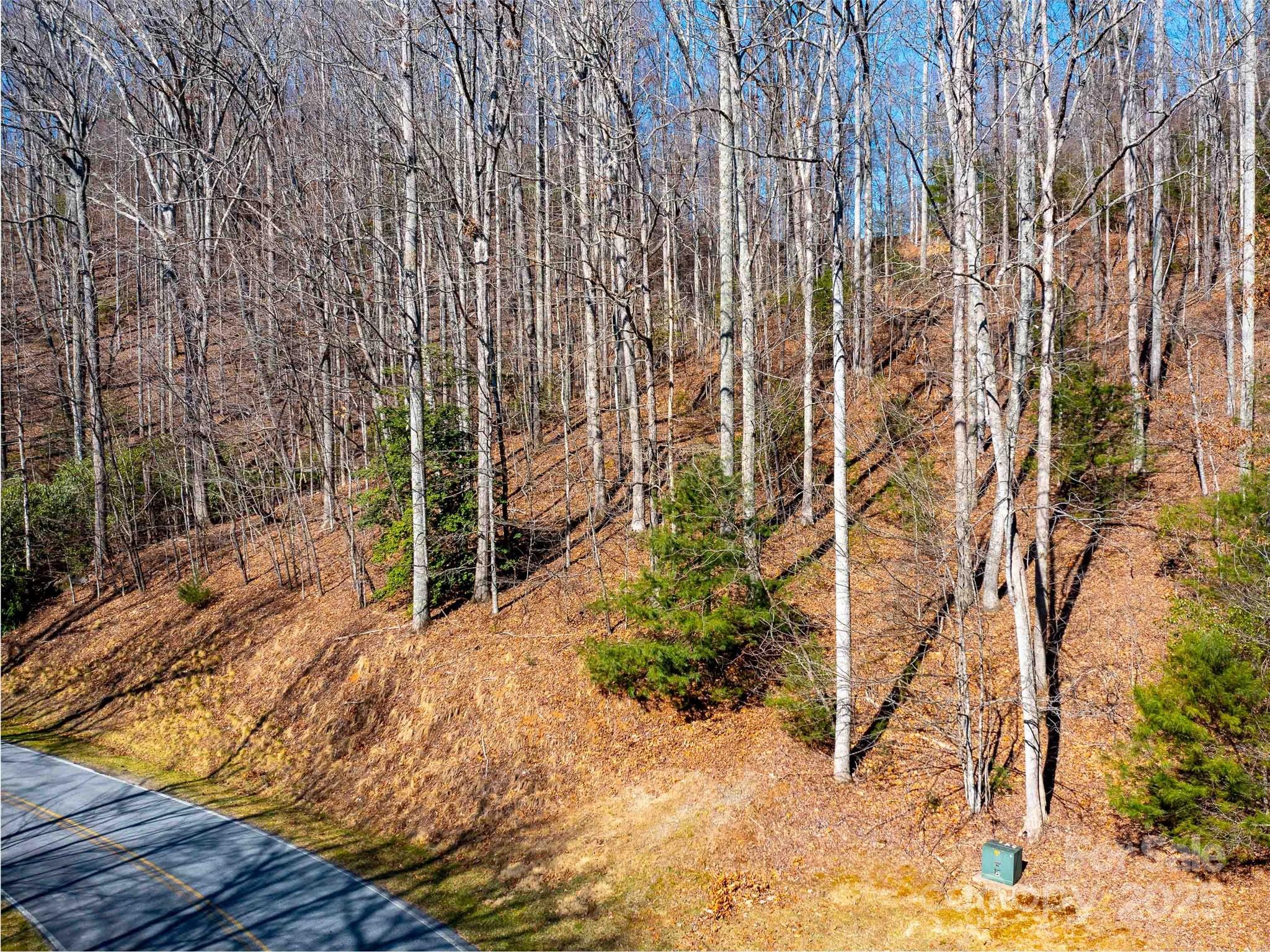 00 Chattooga Run Unit: 292R
