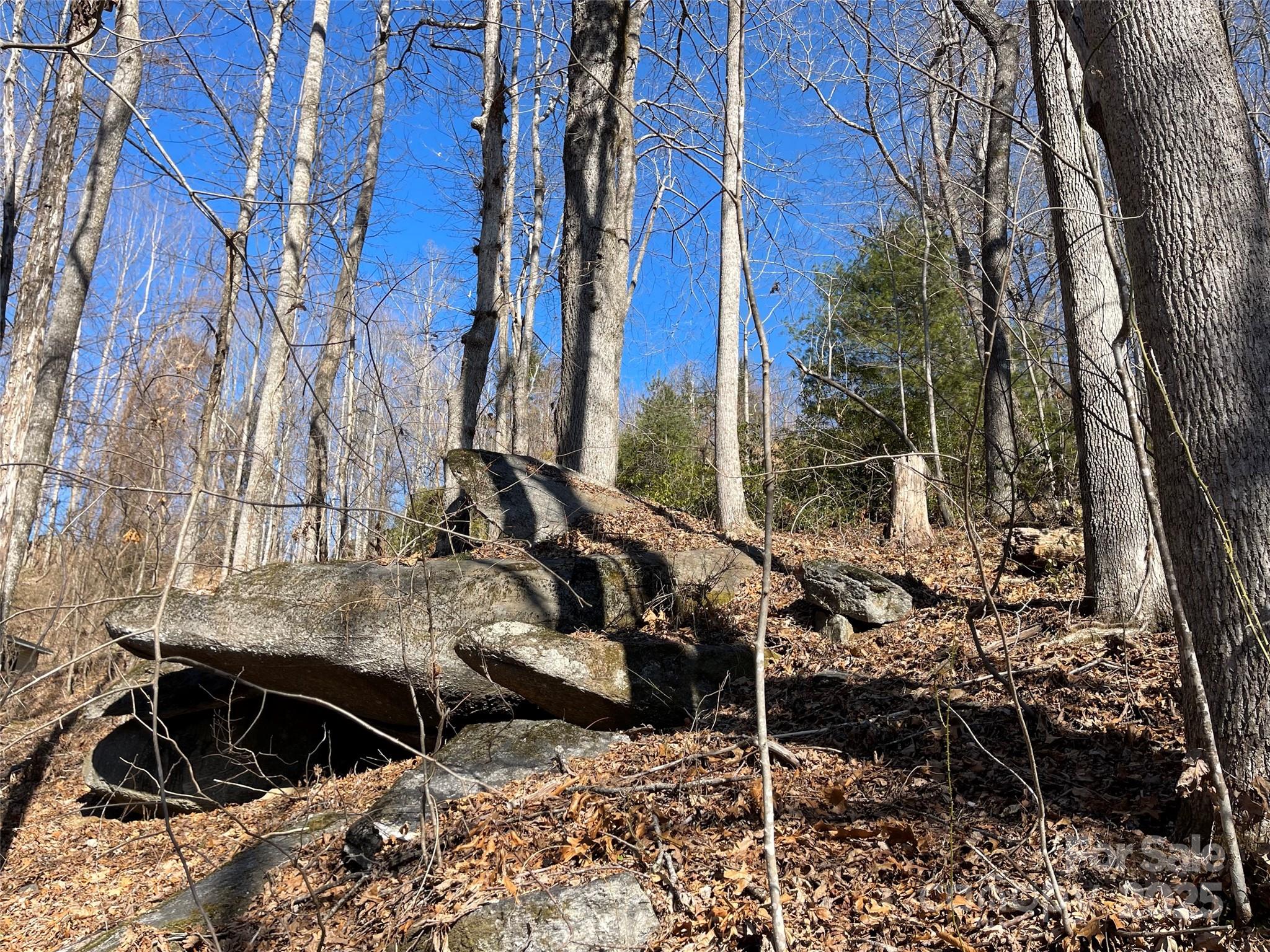 00 Chattooga Run Unit: 292R