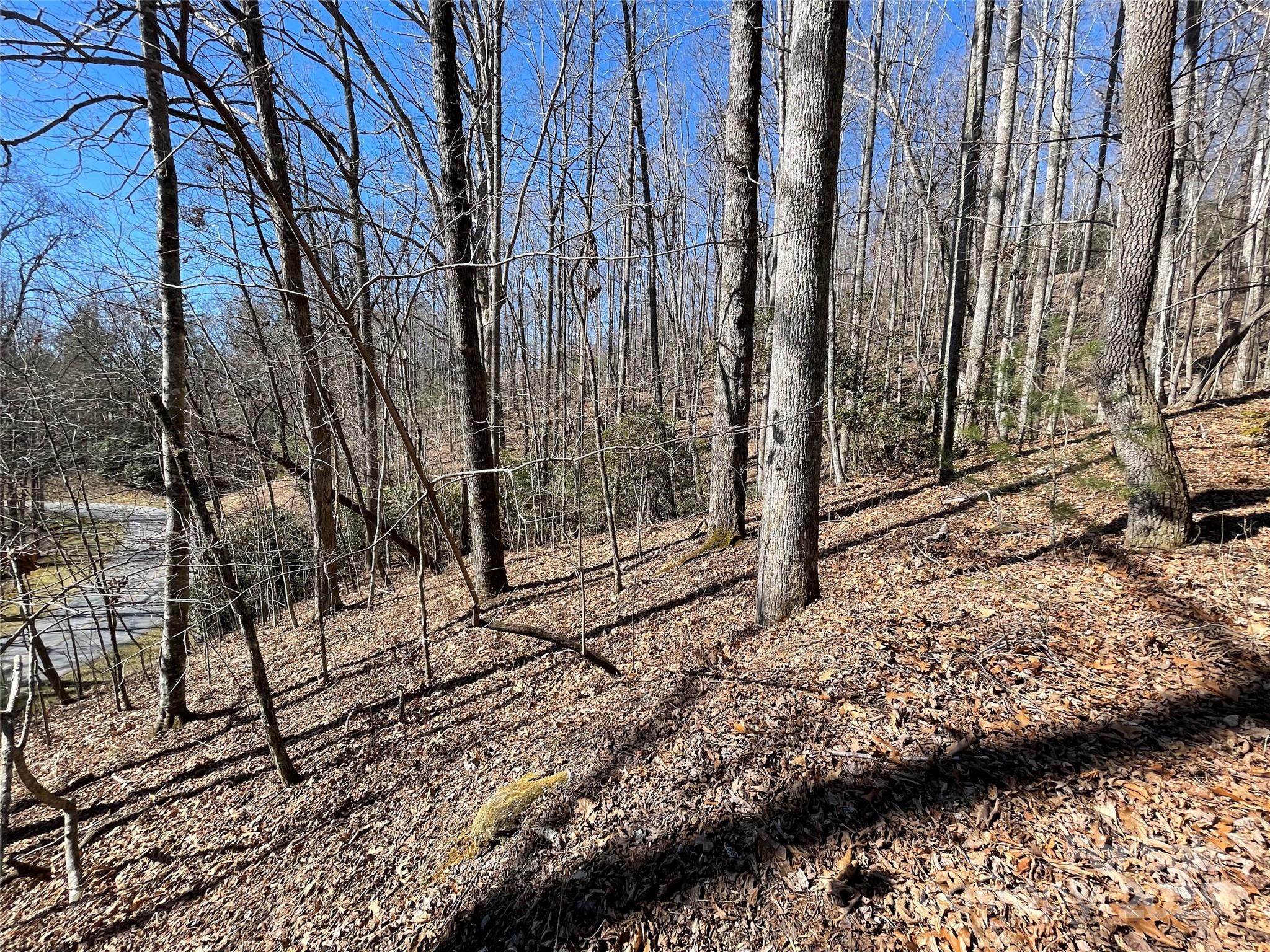 00 Chattooga Run Unit: 292R