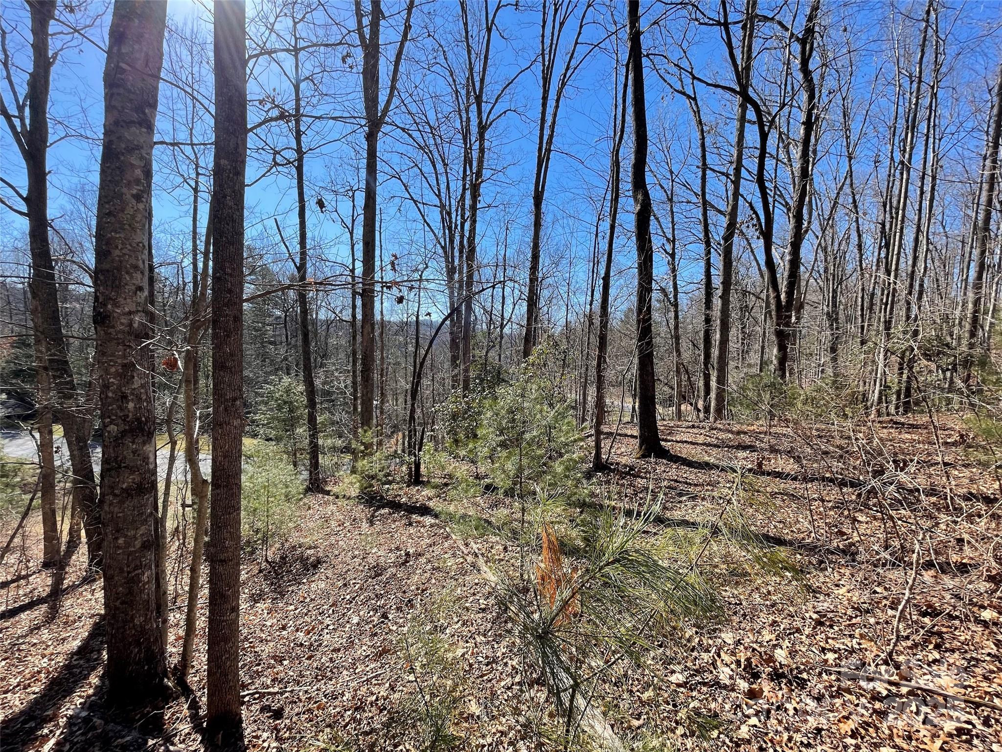 00 Chattooga Run Unit: 292R