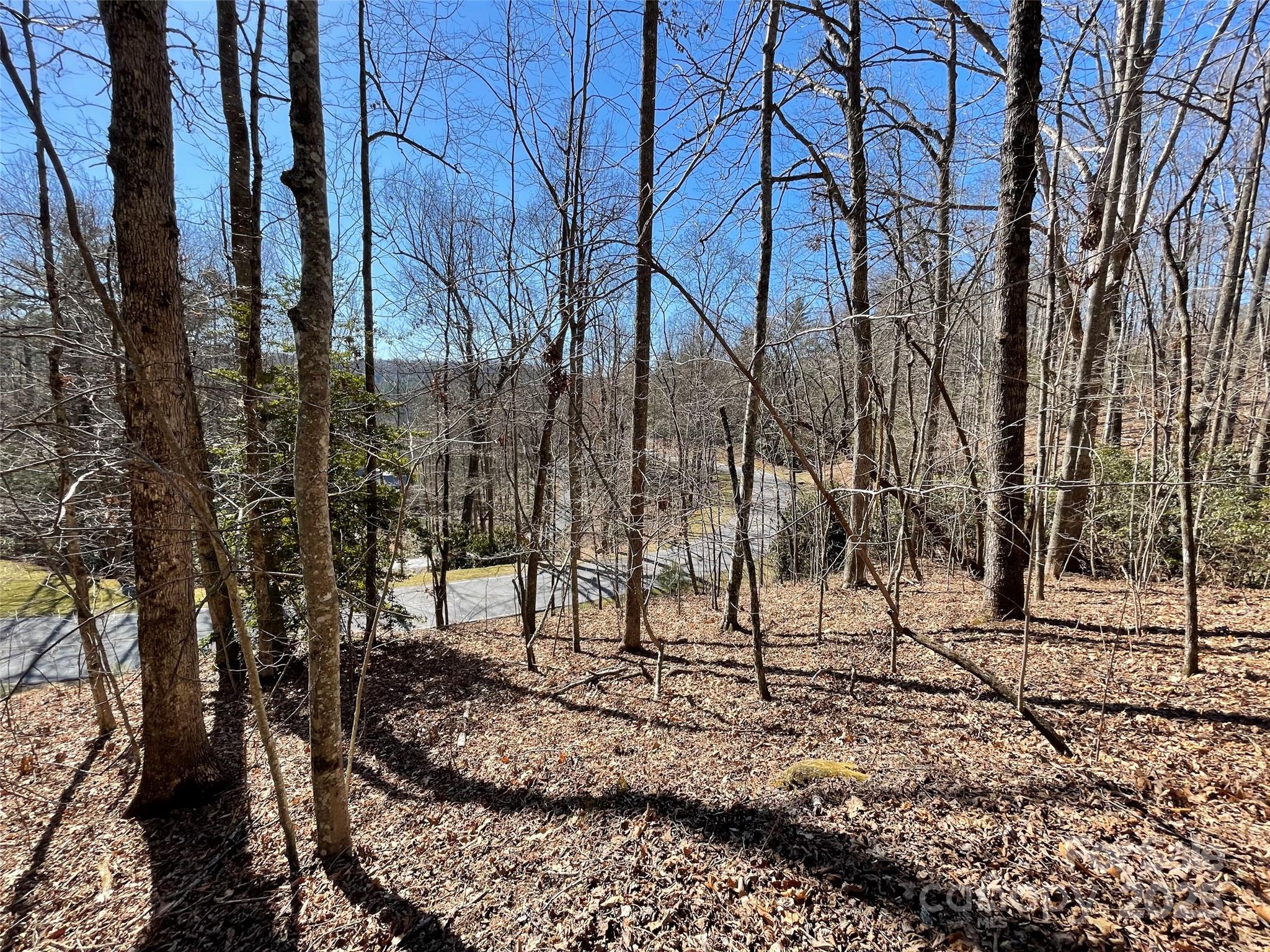 00 Chattooga Run Unit: 292R