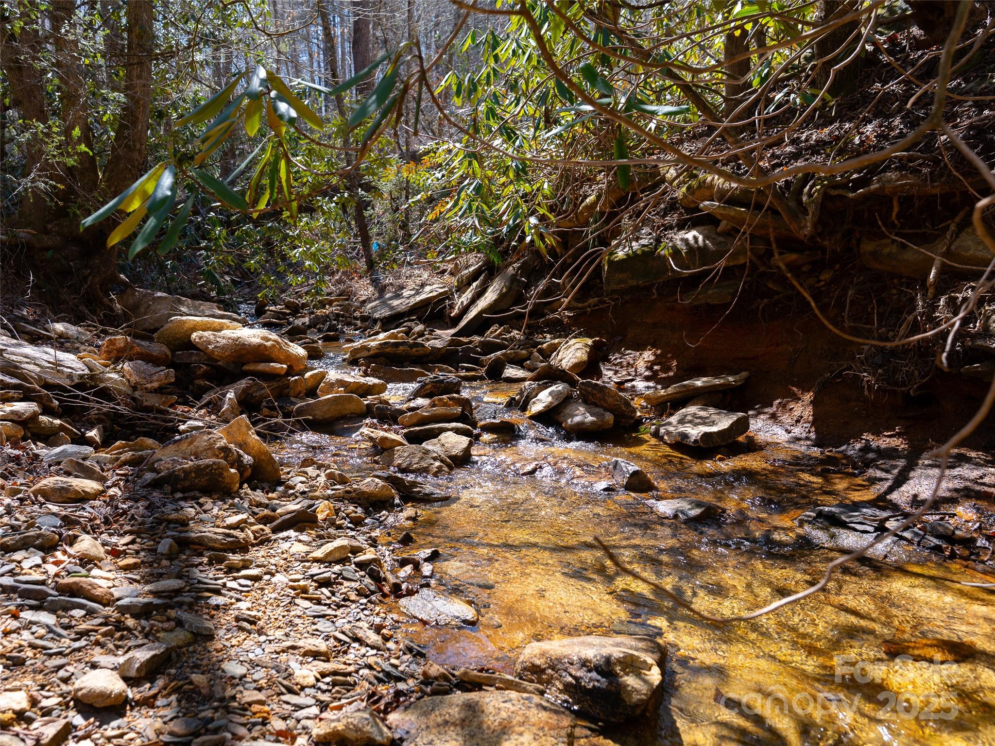 9999 Timber Trail
