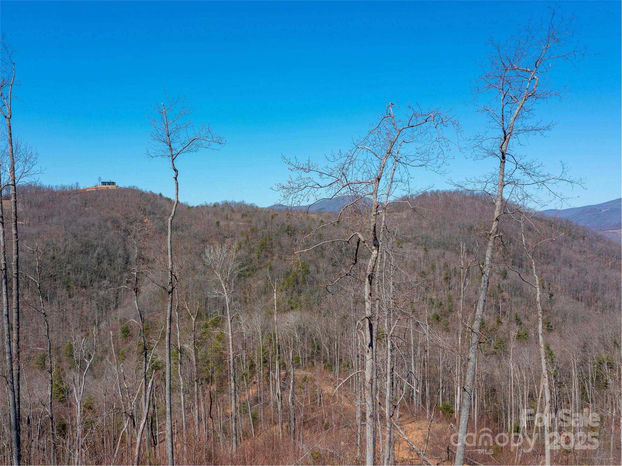 9999 Timber Trail