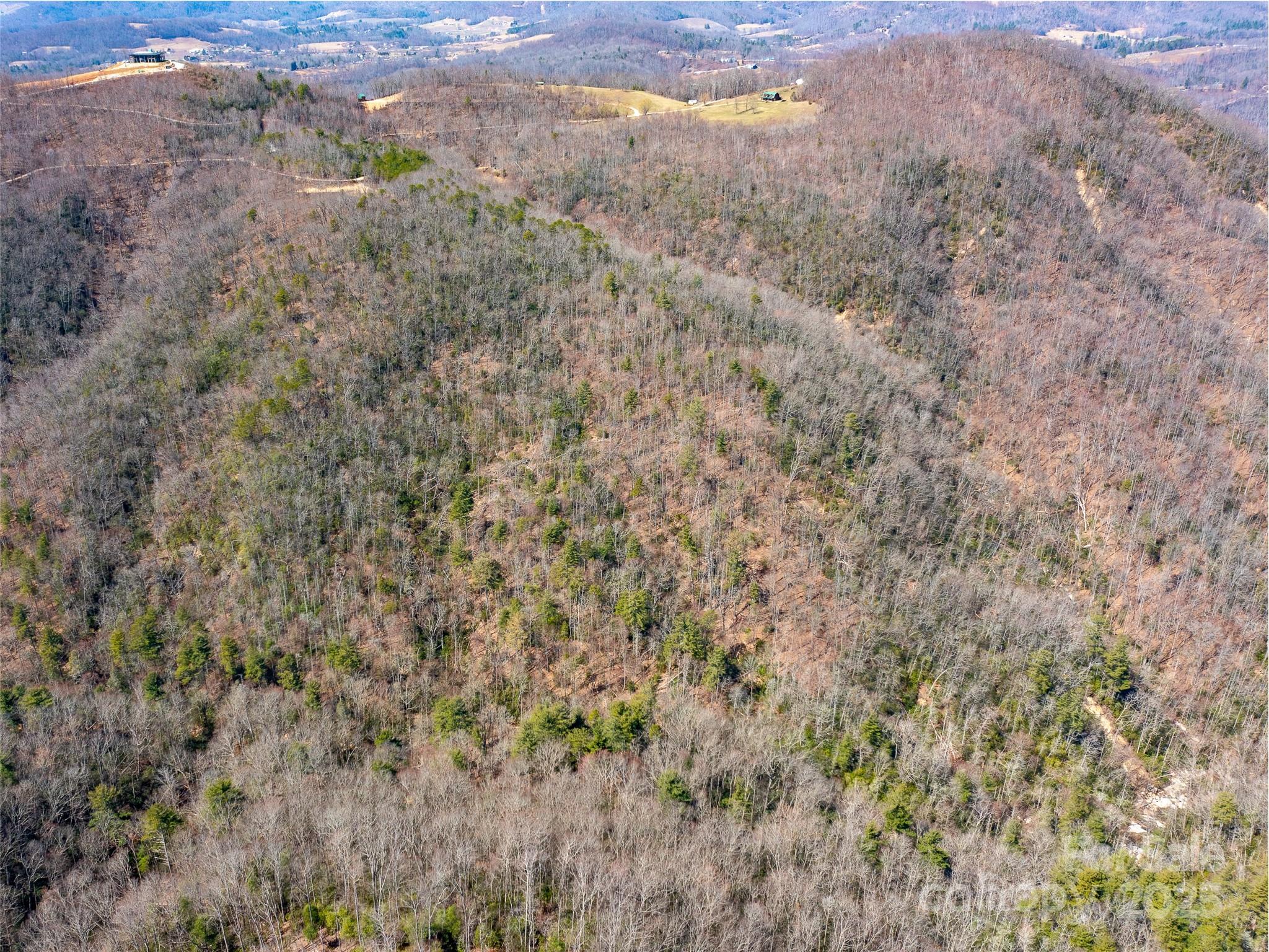 9999 Timber Trail