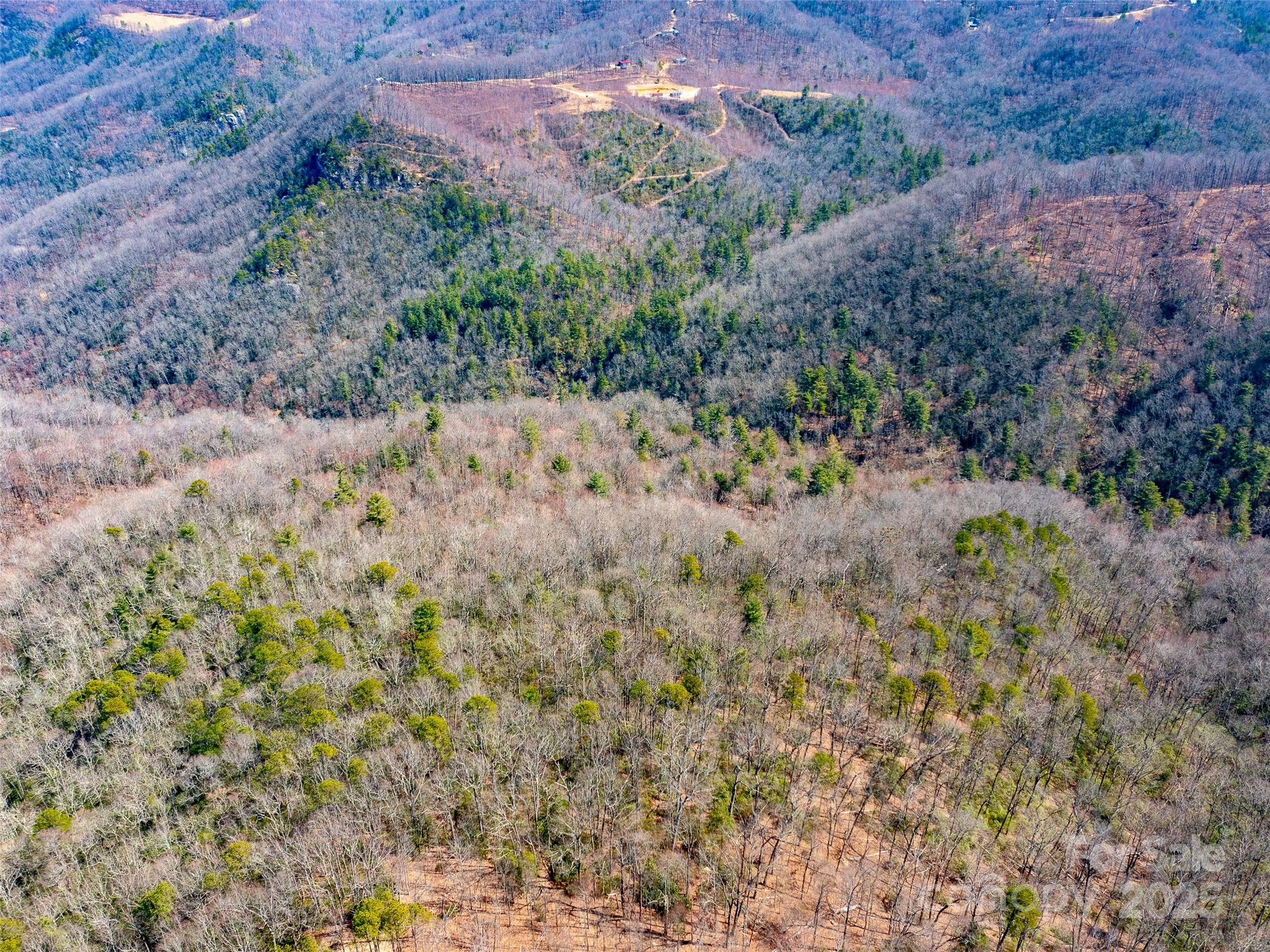 9999 Timber Trail