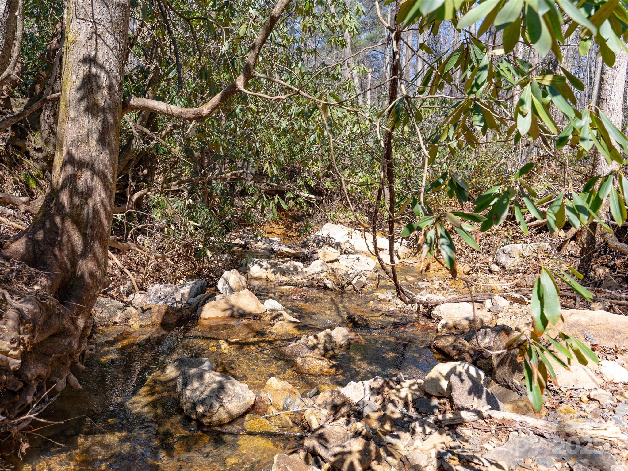 9999 Timber Trail