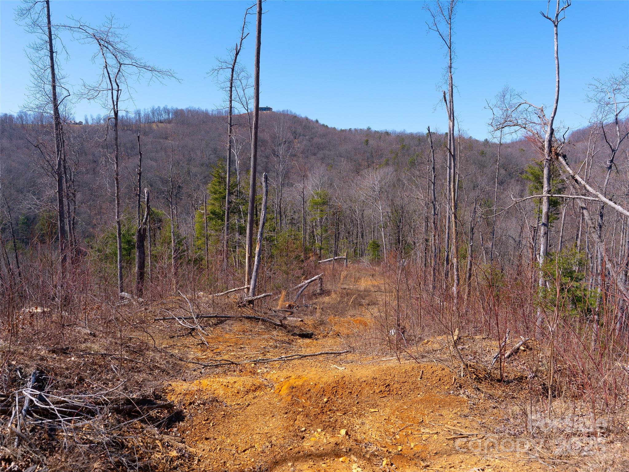 9999 Timber Trail