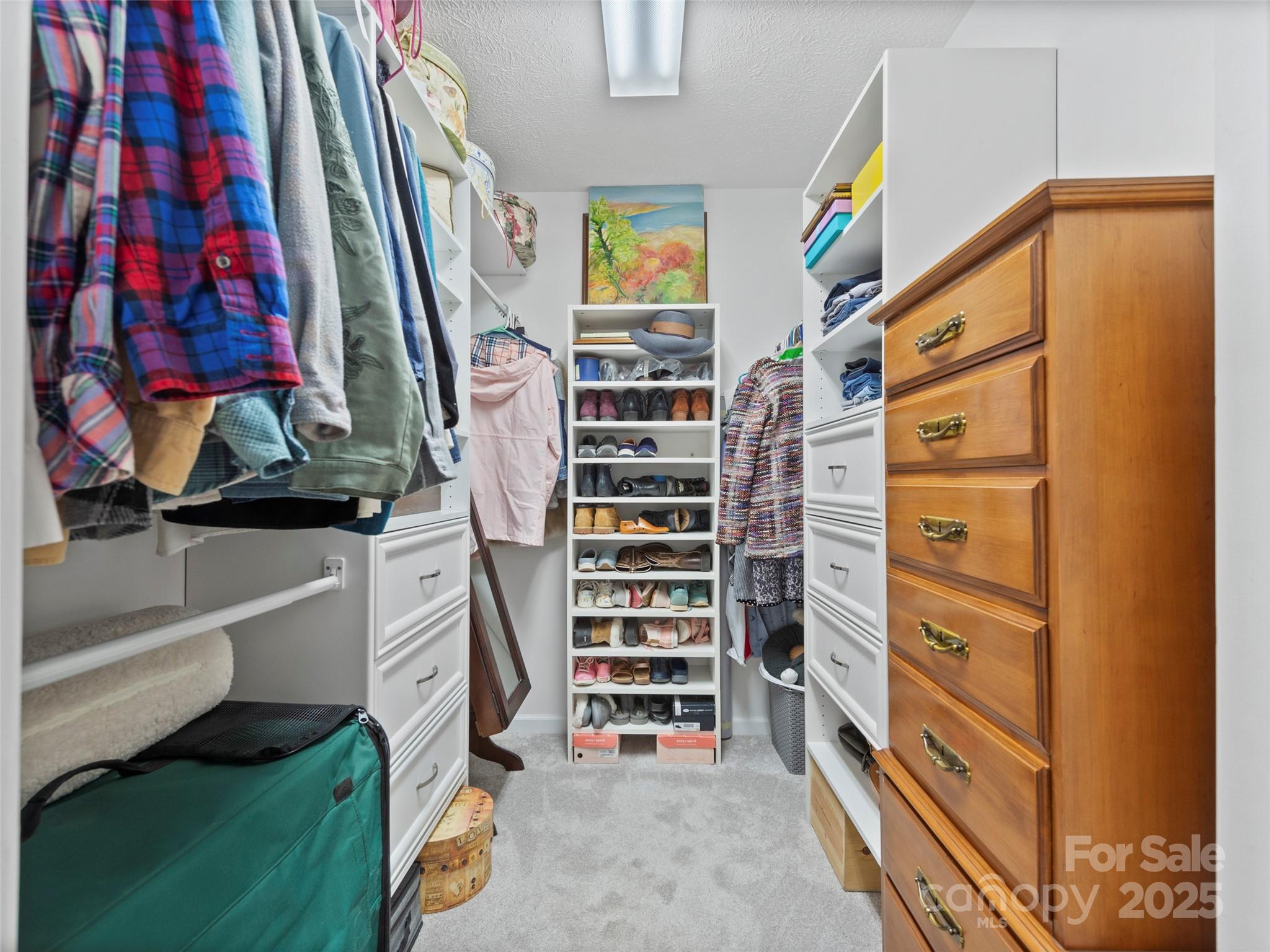 205 Wild Oak Lane