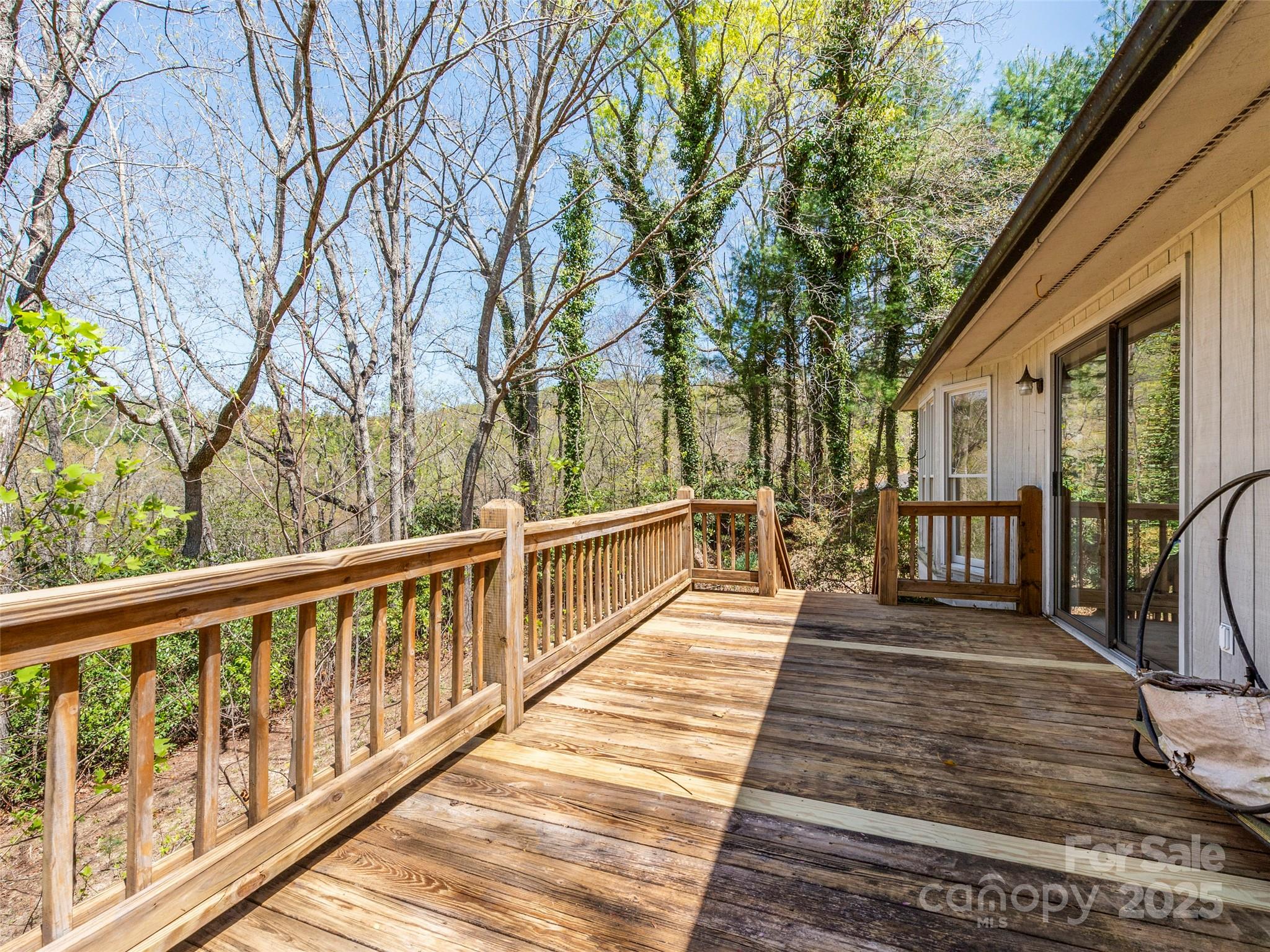 207 Trappers Trail