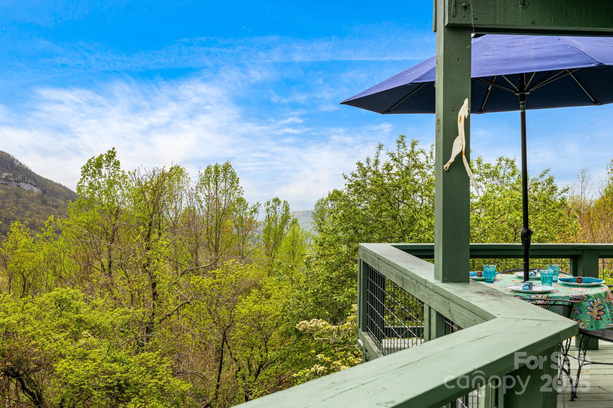 736 Banks Mountain Drive