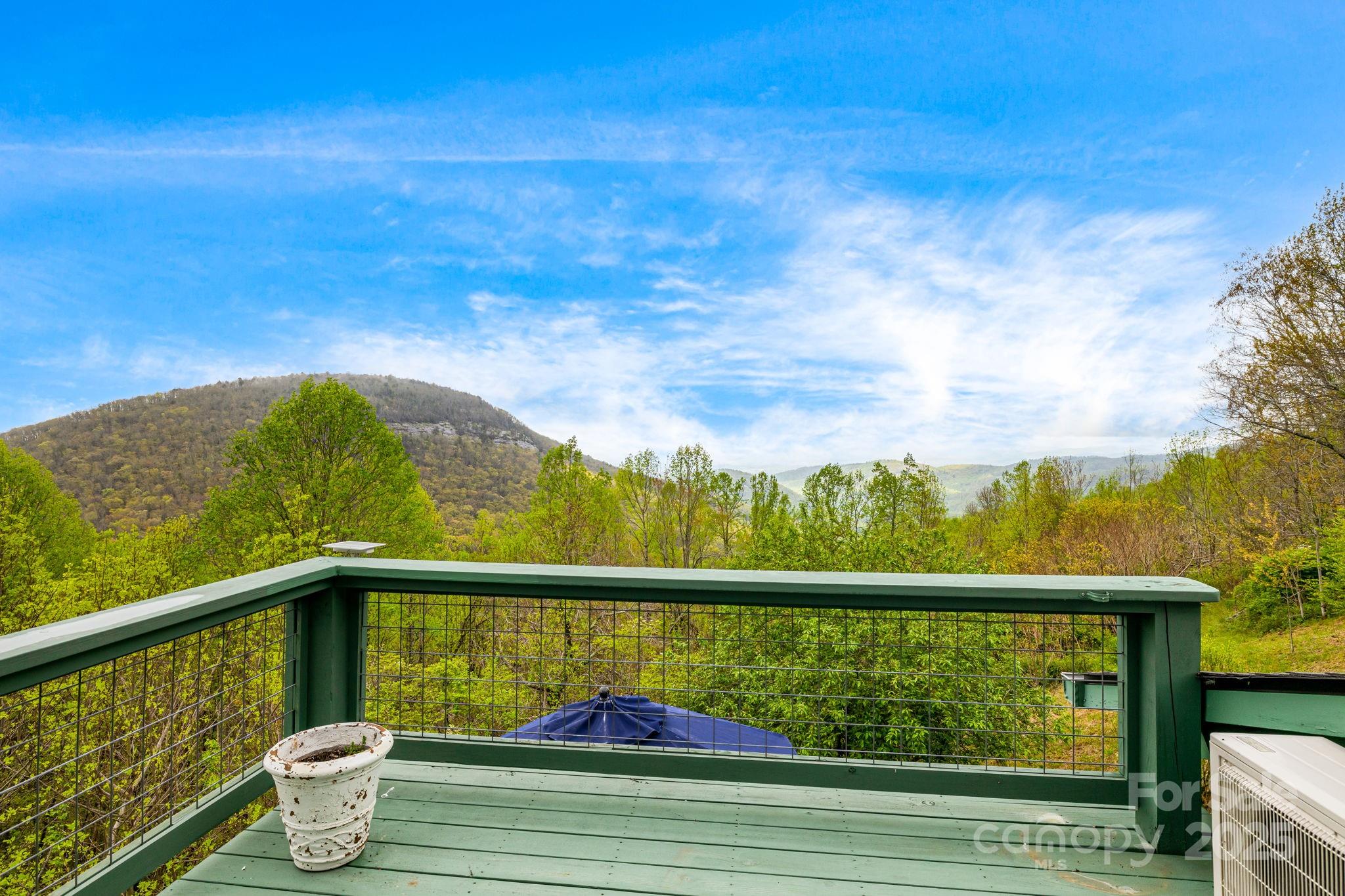 736 Banks Mountain Drive