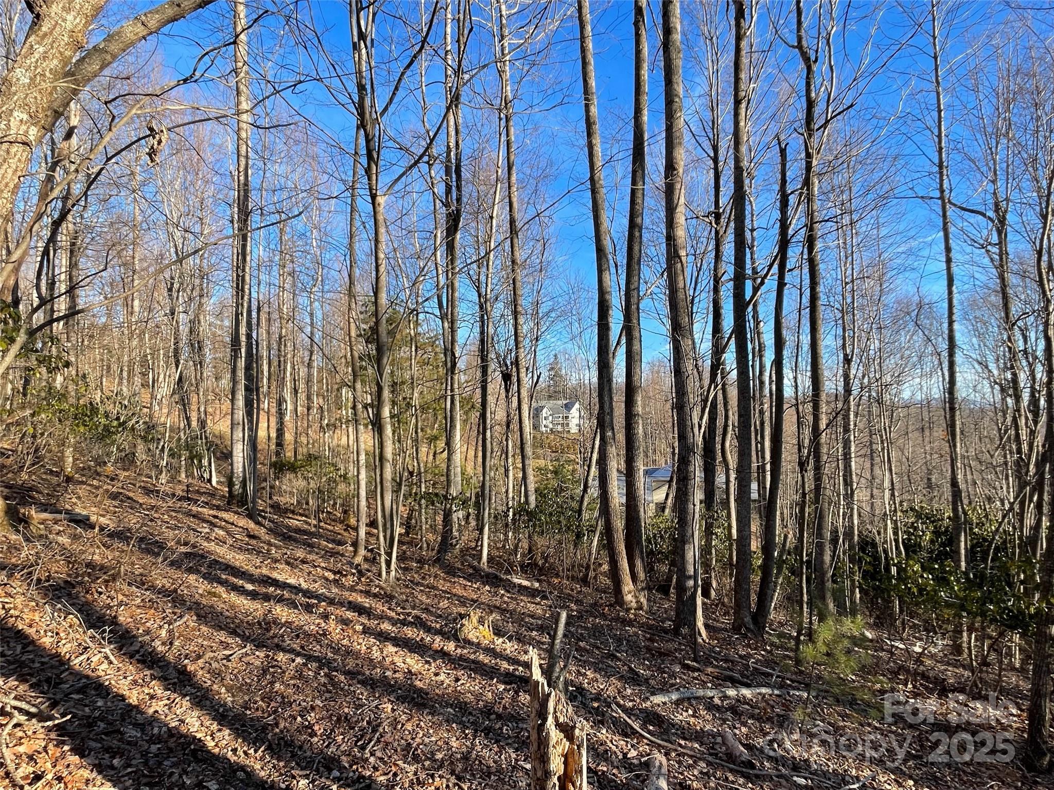 000 Hardwood Summit Unit: 191