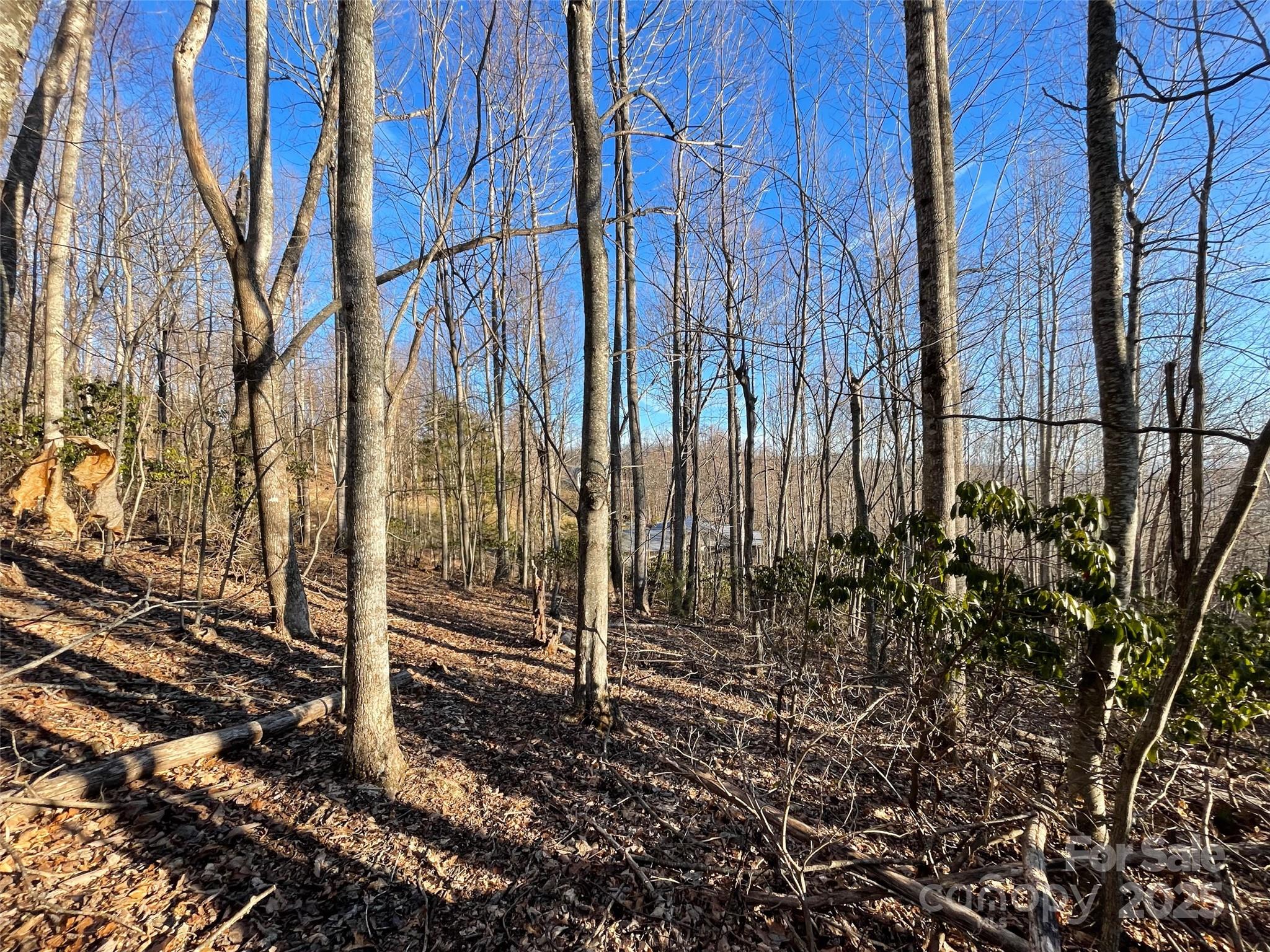 000 Hardwood Summit Unit: 191