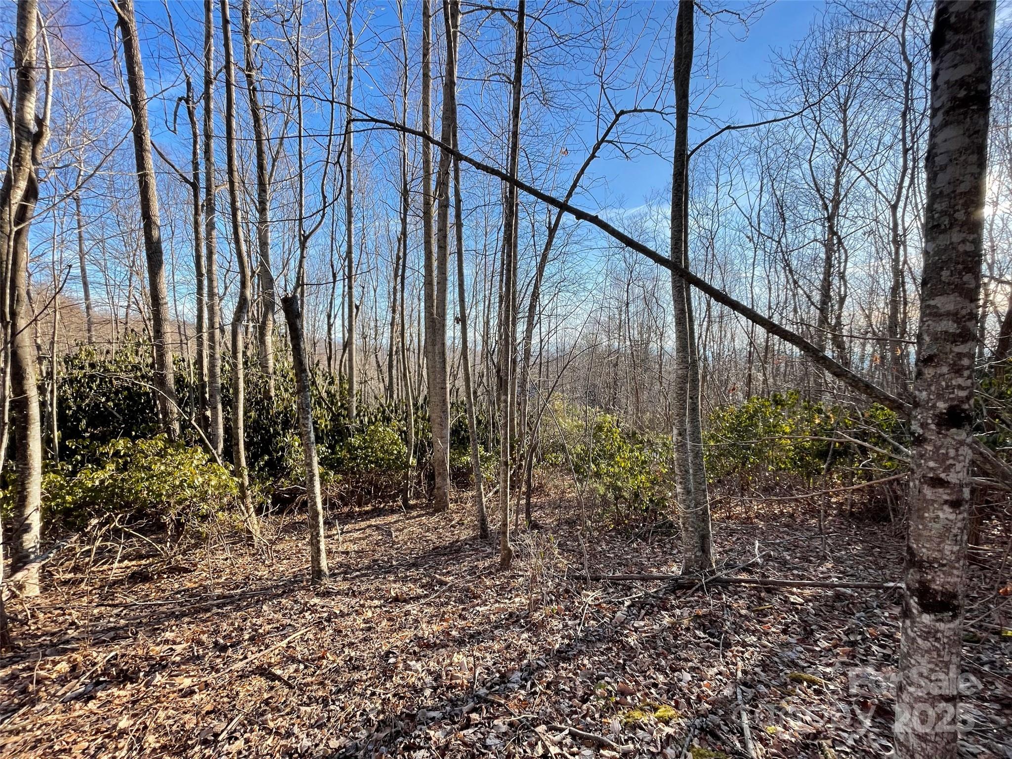 000 Hardwood Summit Unit: 191