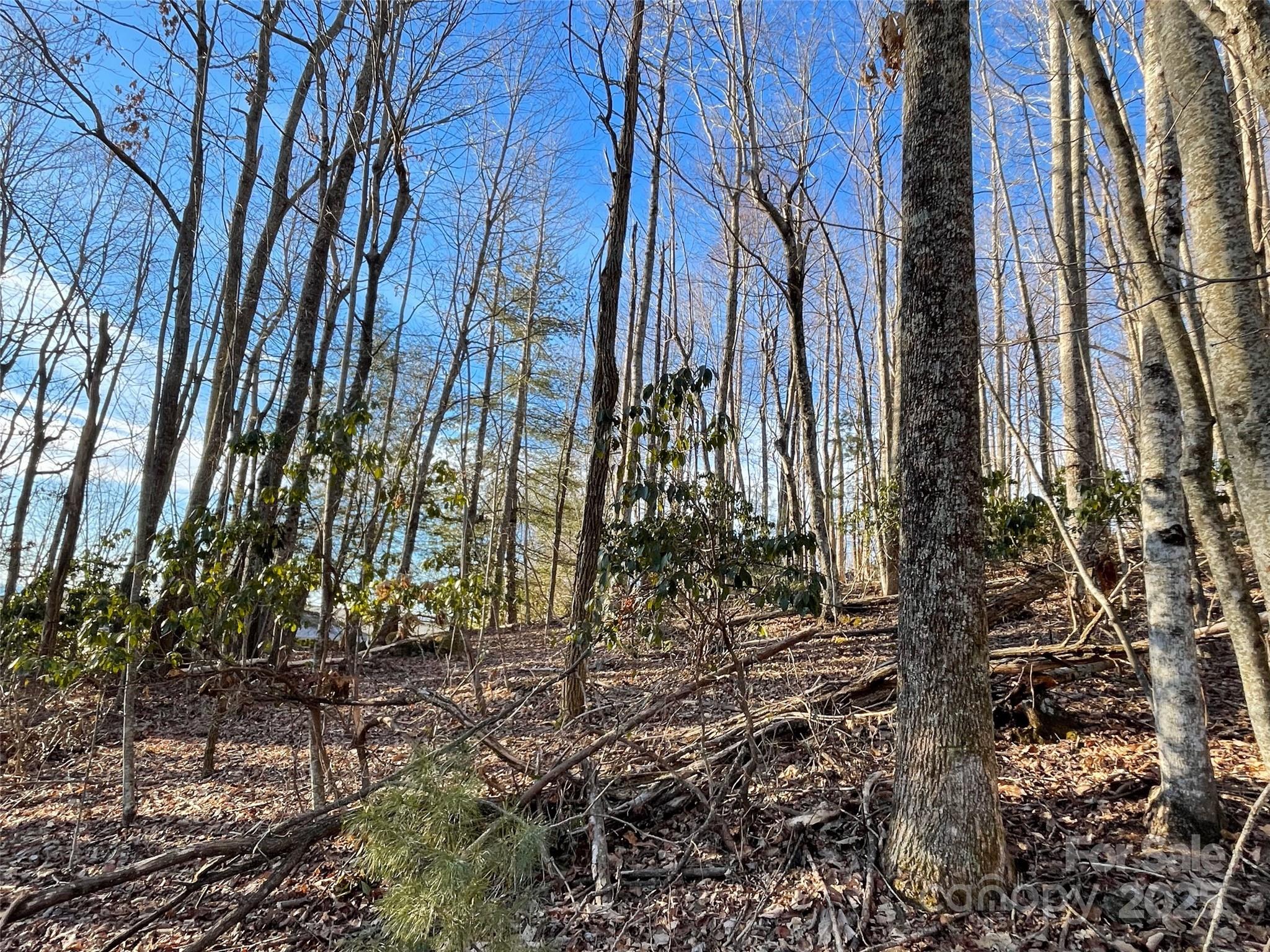 000 Hardwood Summit Unit: 191