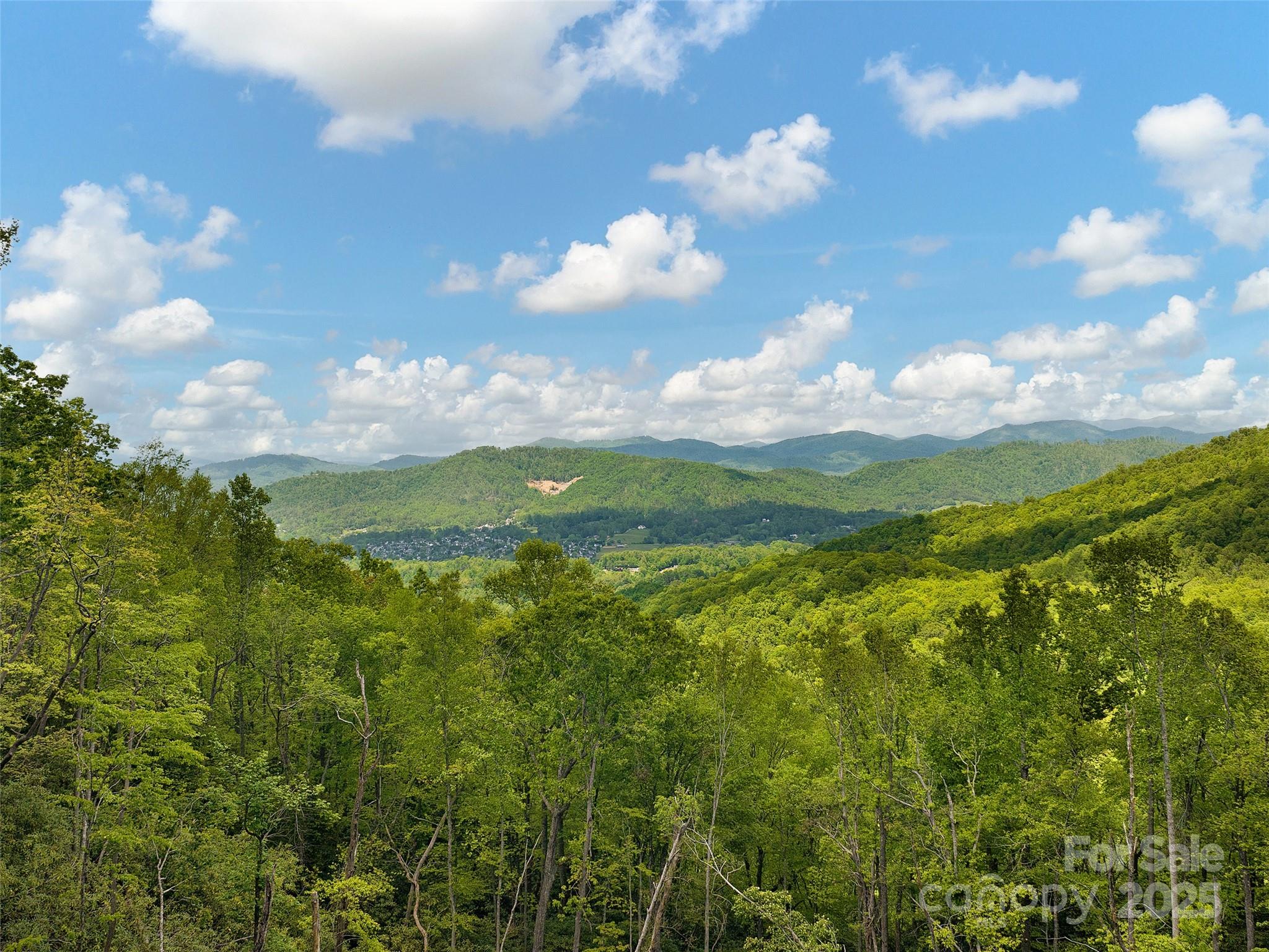 000 Hemlock Grove Trail Unit: 51