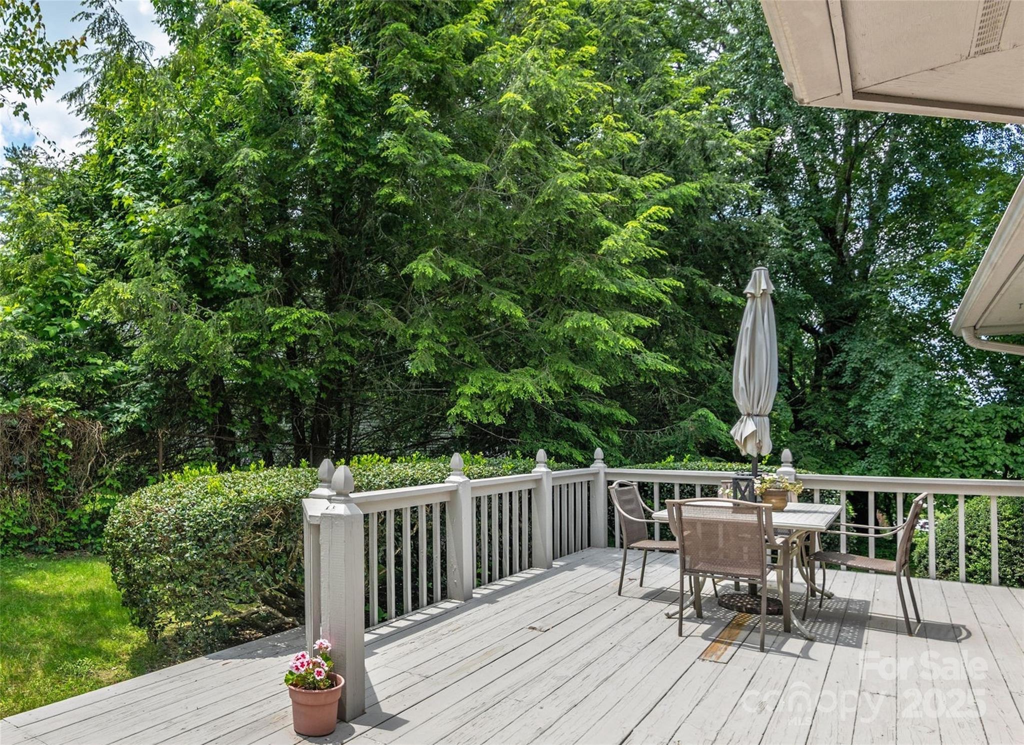 189 Cove Loop Road