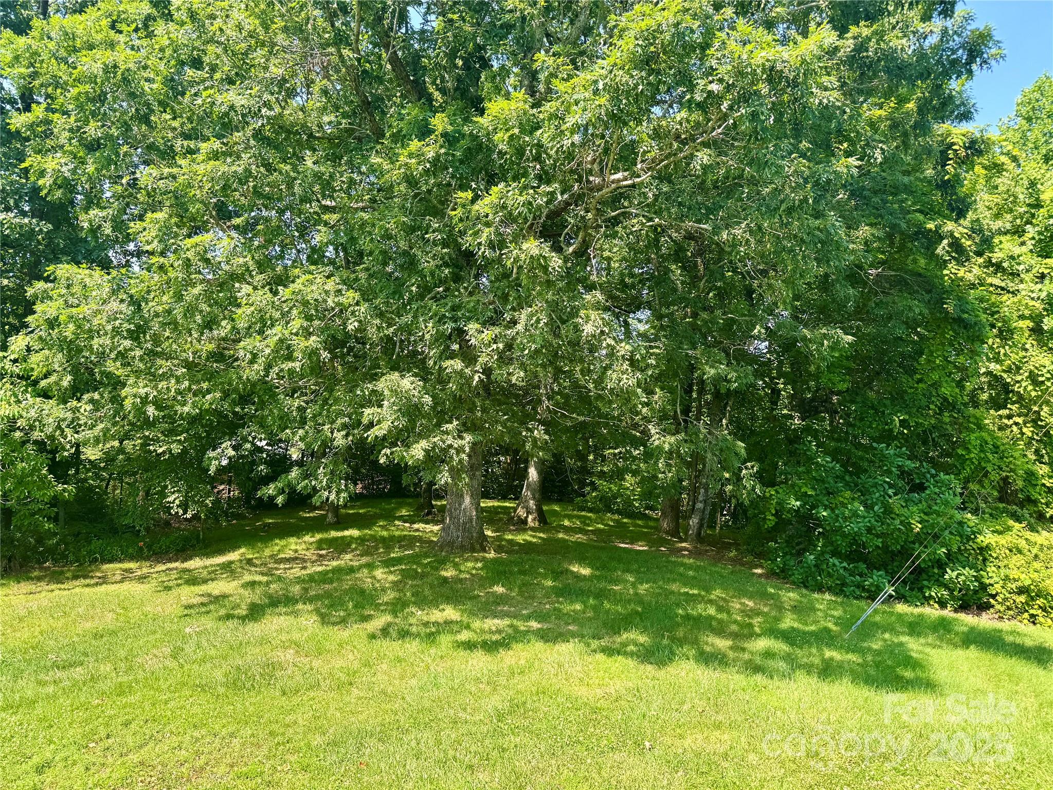 6369 Pinnacle Mountain Road