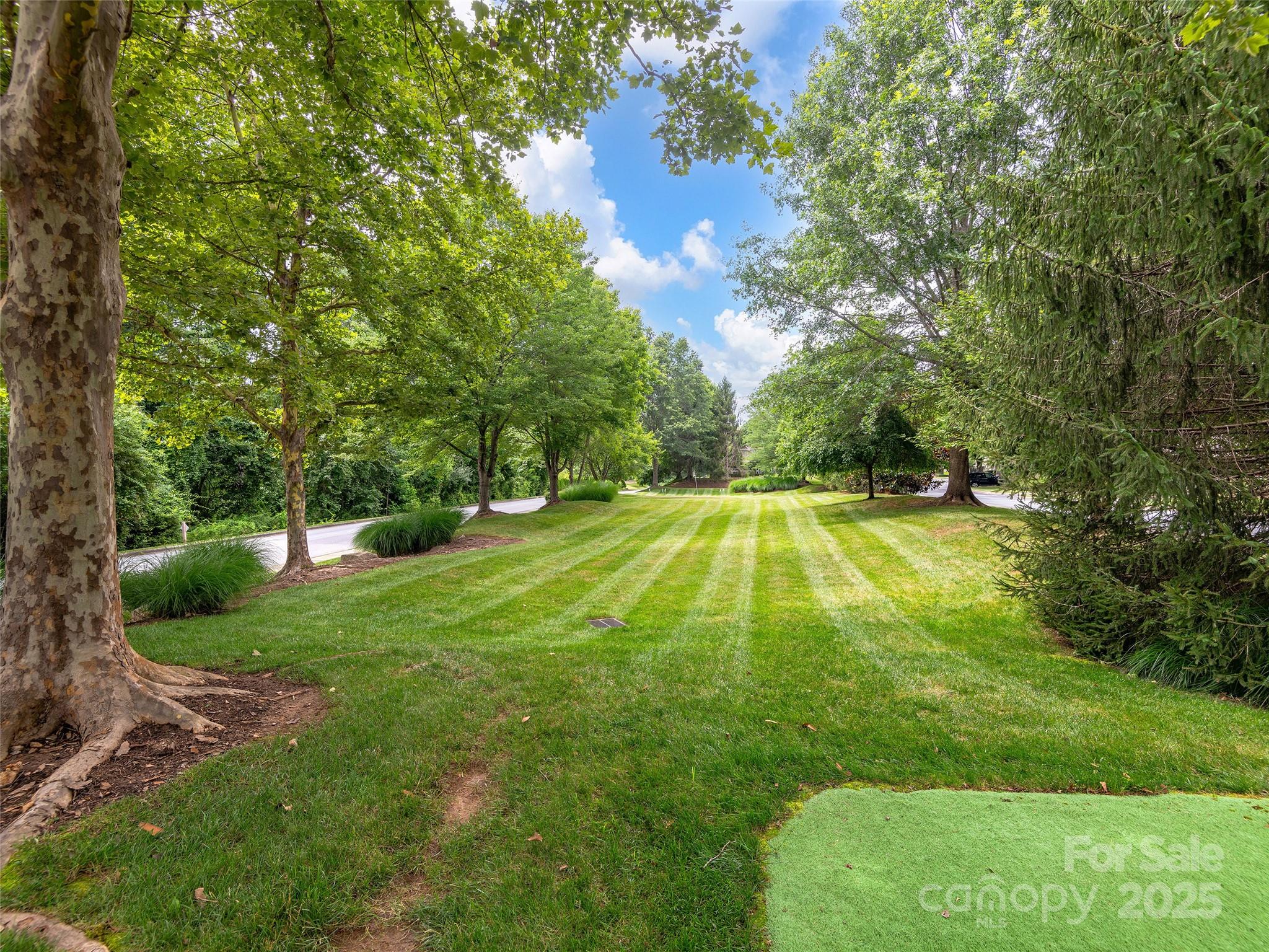 1906 Deermouse Way