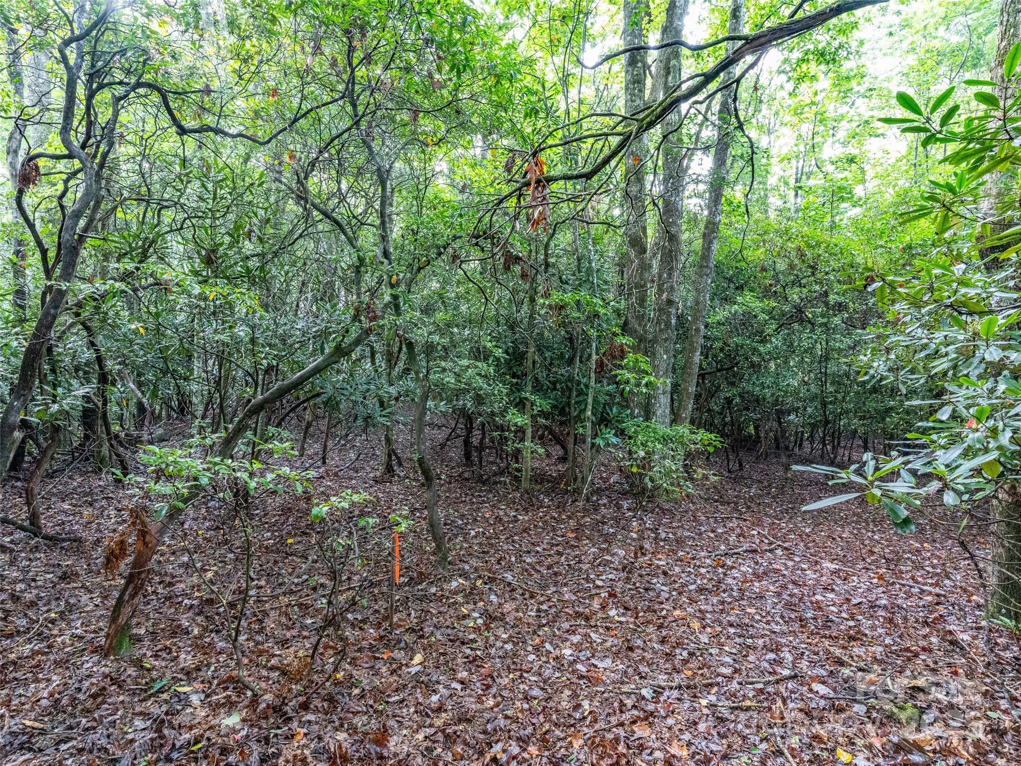 153 Chattooga Run Unit: 228