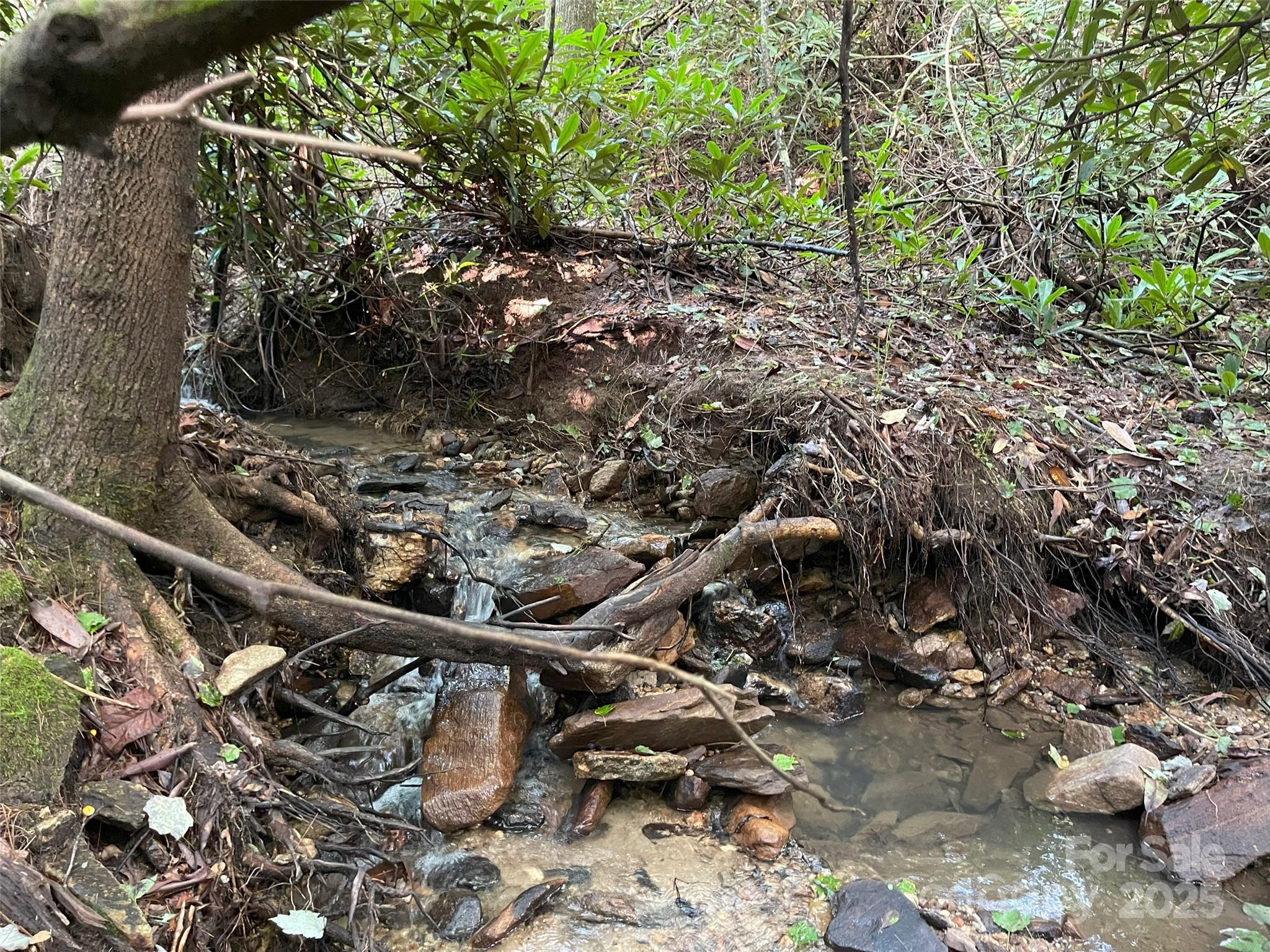 153 Chattooga Run Unit: 228