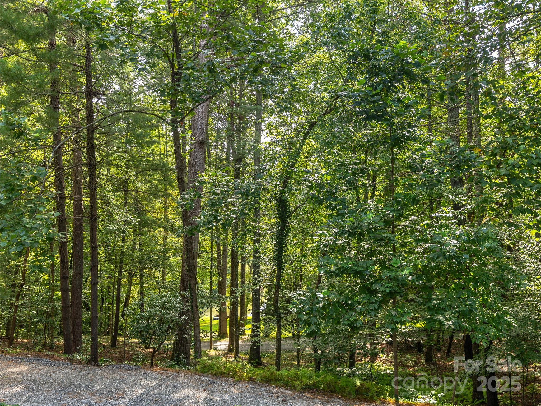 232 Hidden Cove Lane