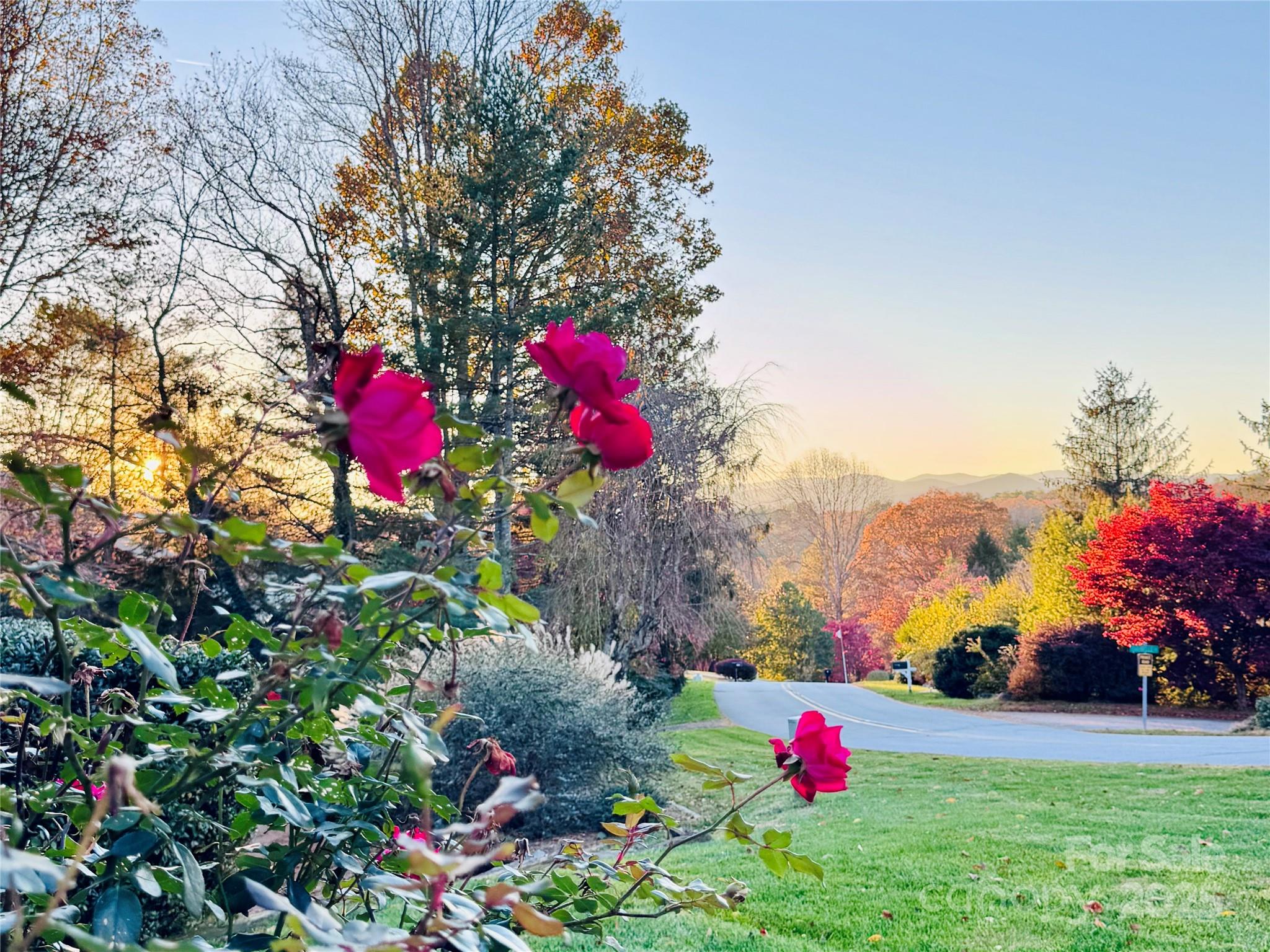 168 Mountain Valley Drive