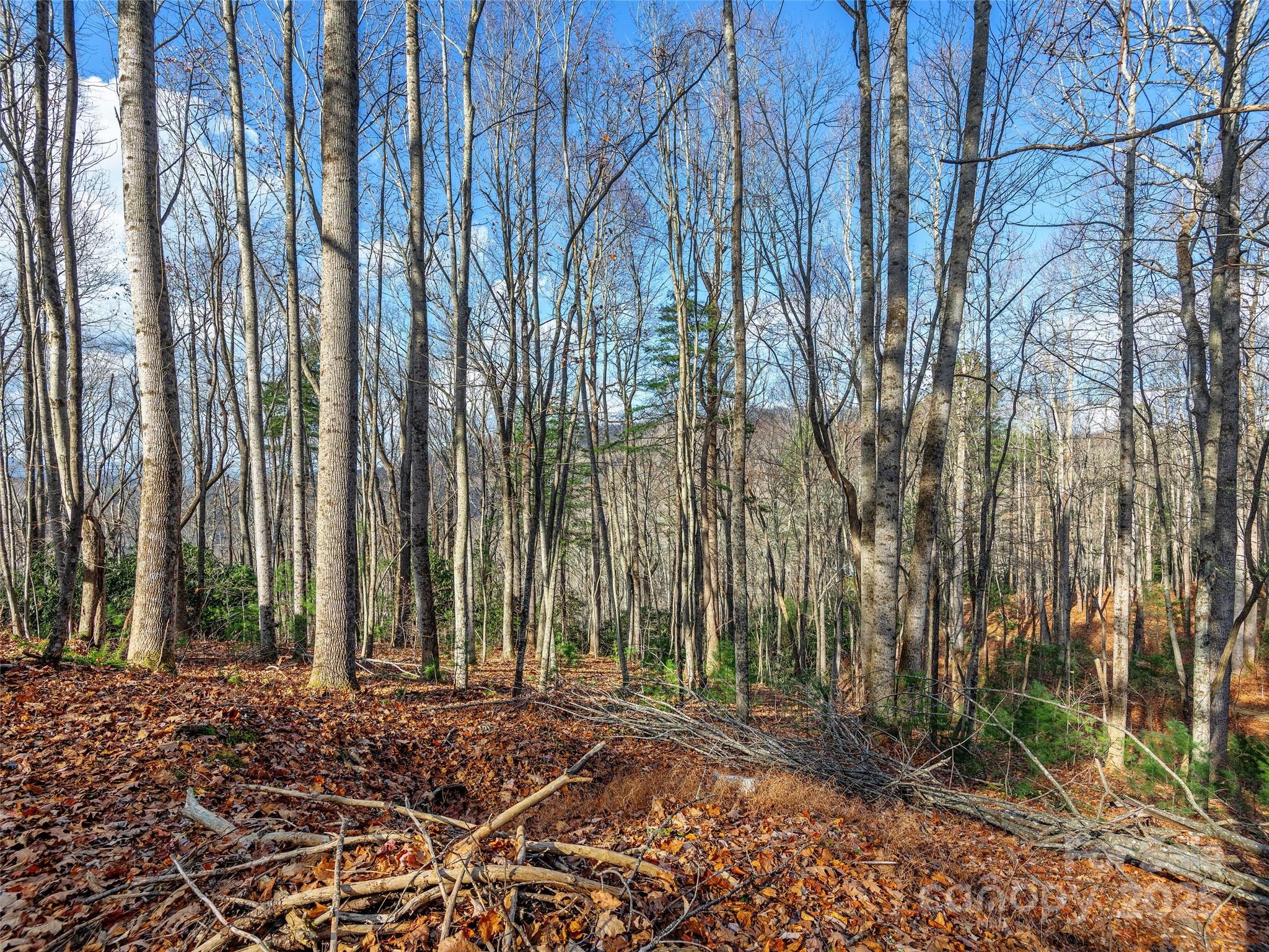 000 Indian Cave Park Road