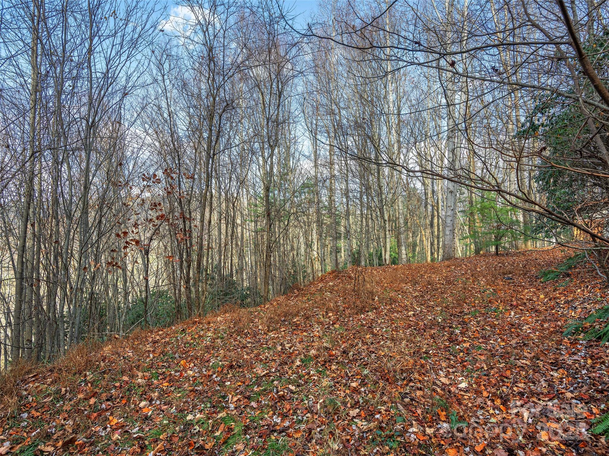 000 Indian Cave Park Road