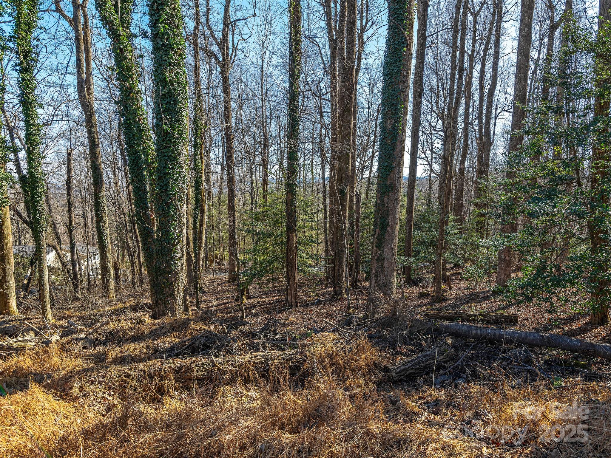 000 Indian Cave Road