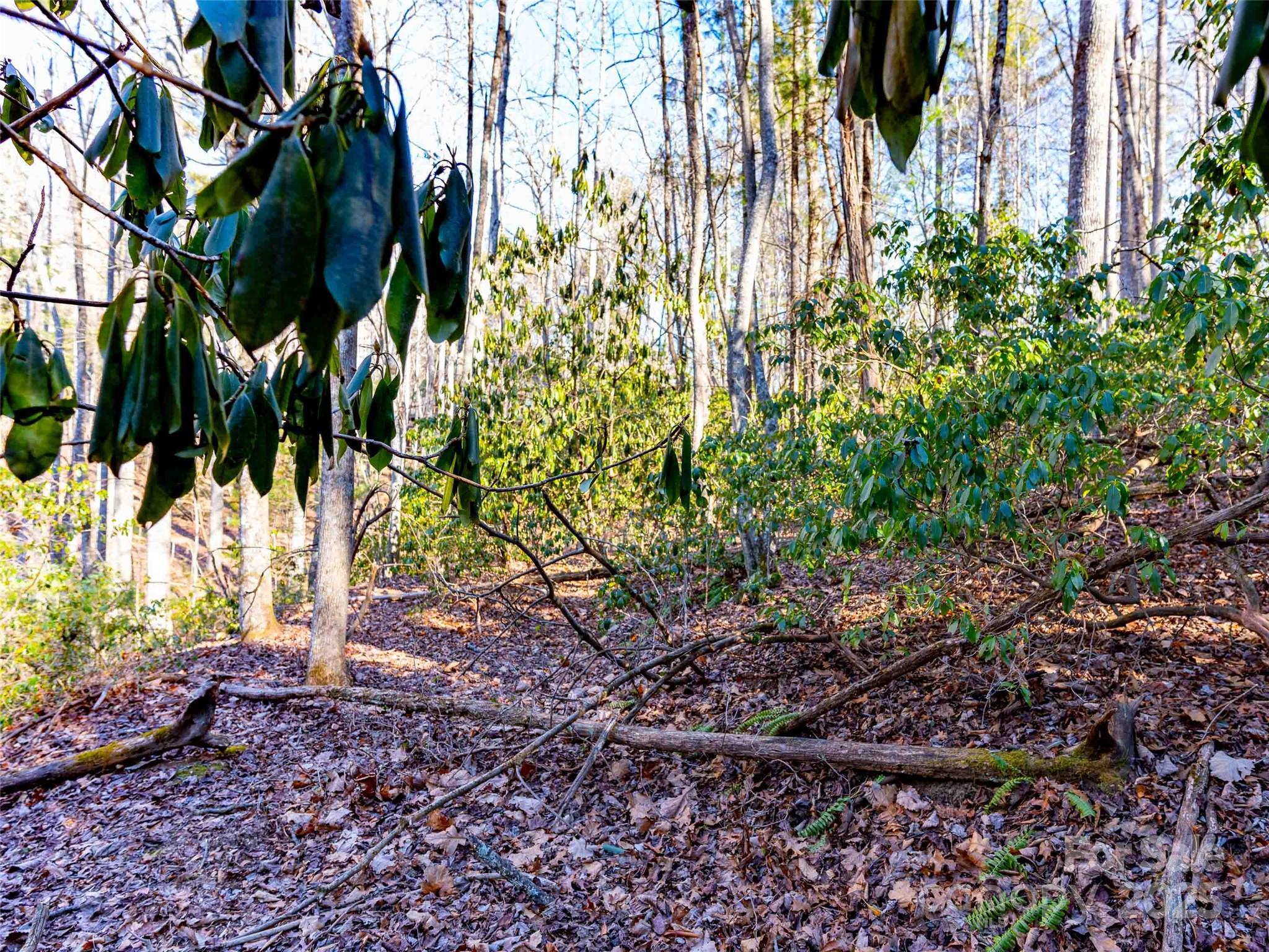 000 Chattooga Run Unit: 306