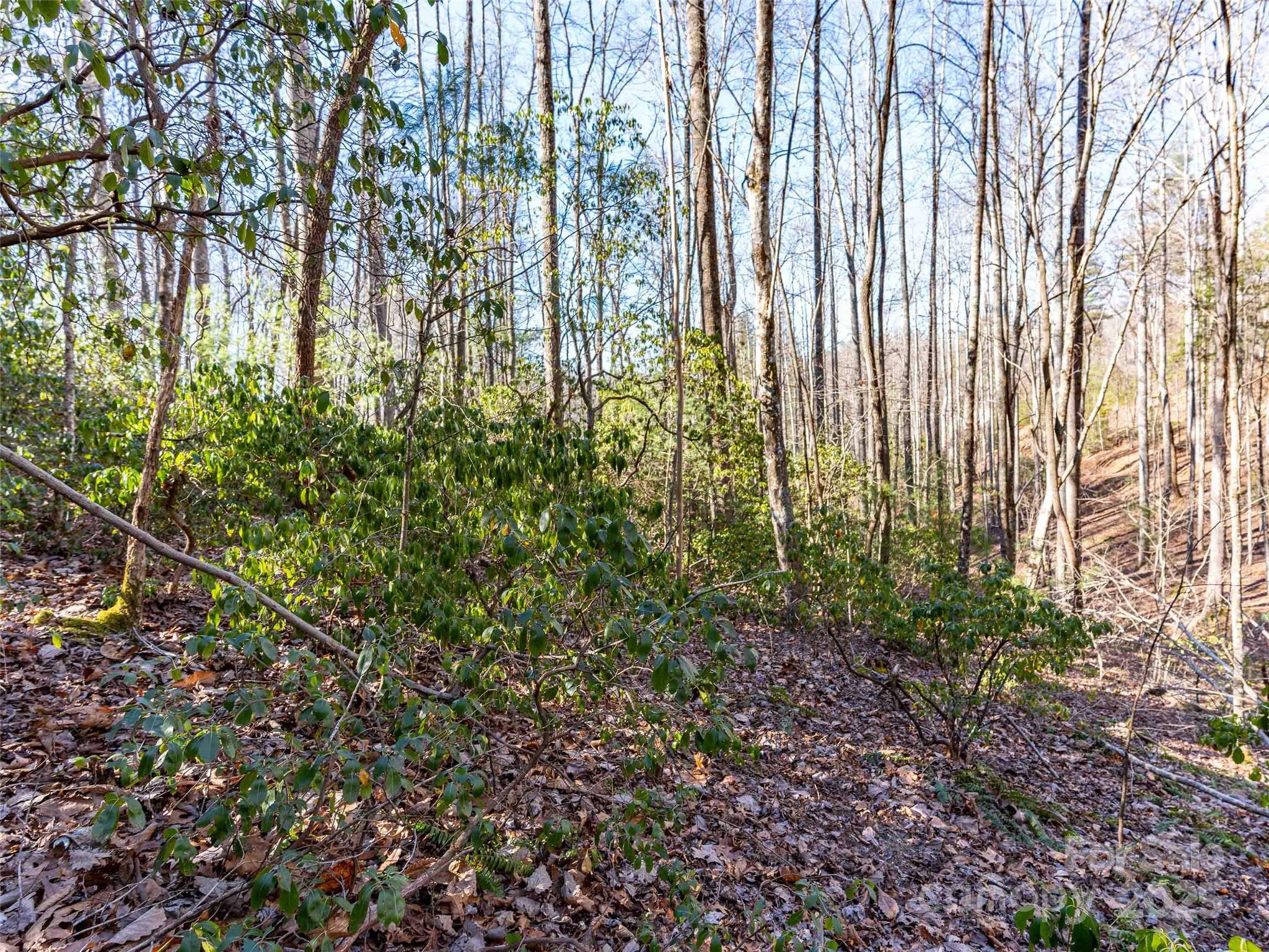 000 Chattooga Run Unit: 306