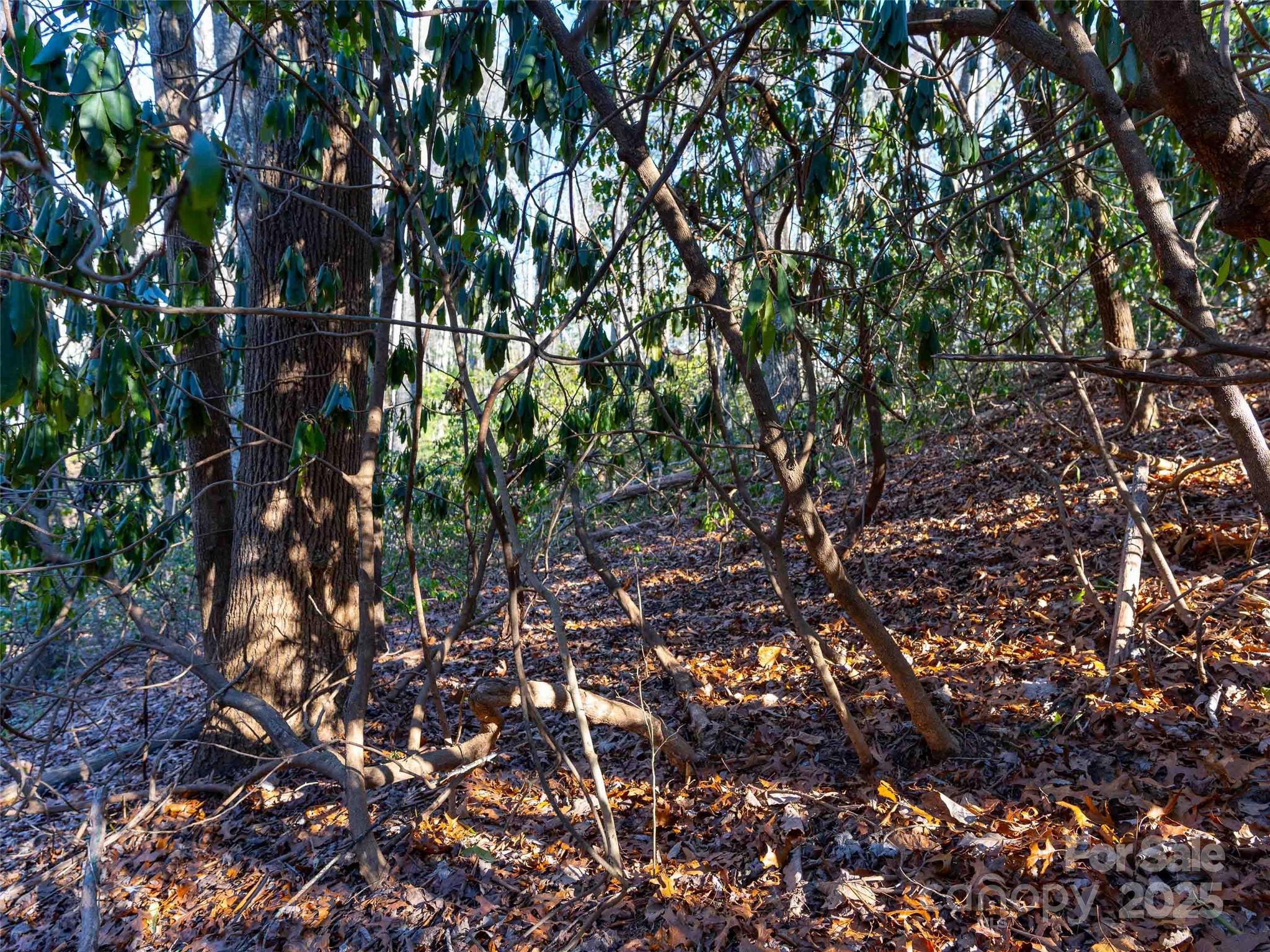 000 Chattooga Run Unit: 306