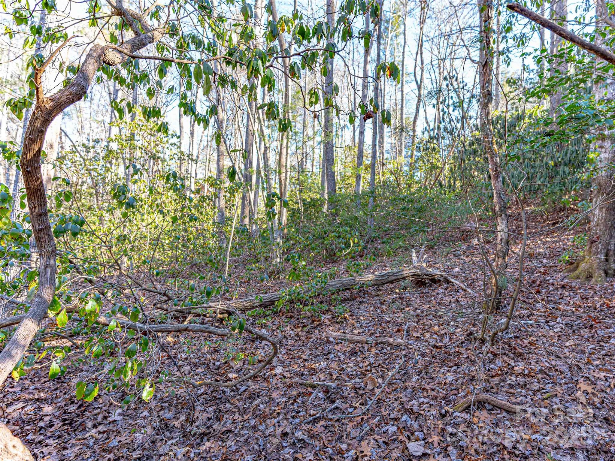 000 Chattooga Run Unit: 306