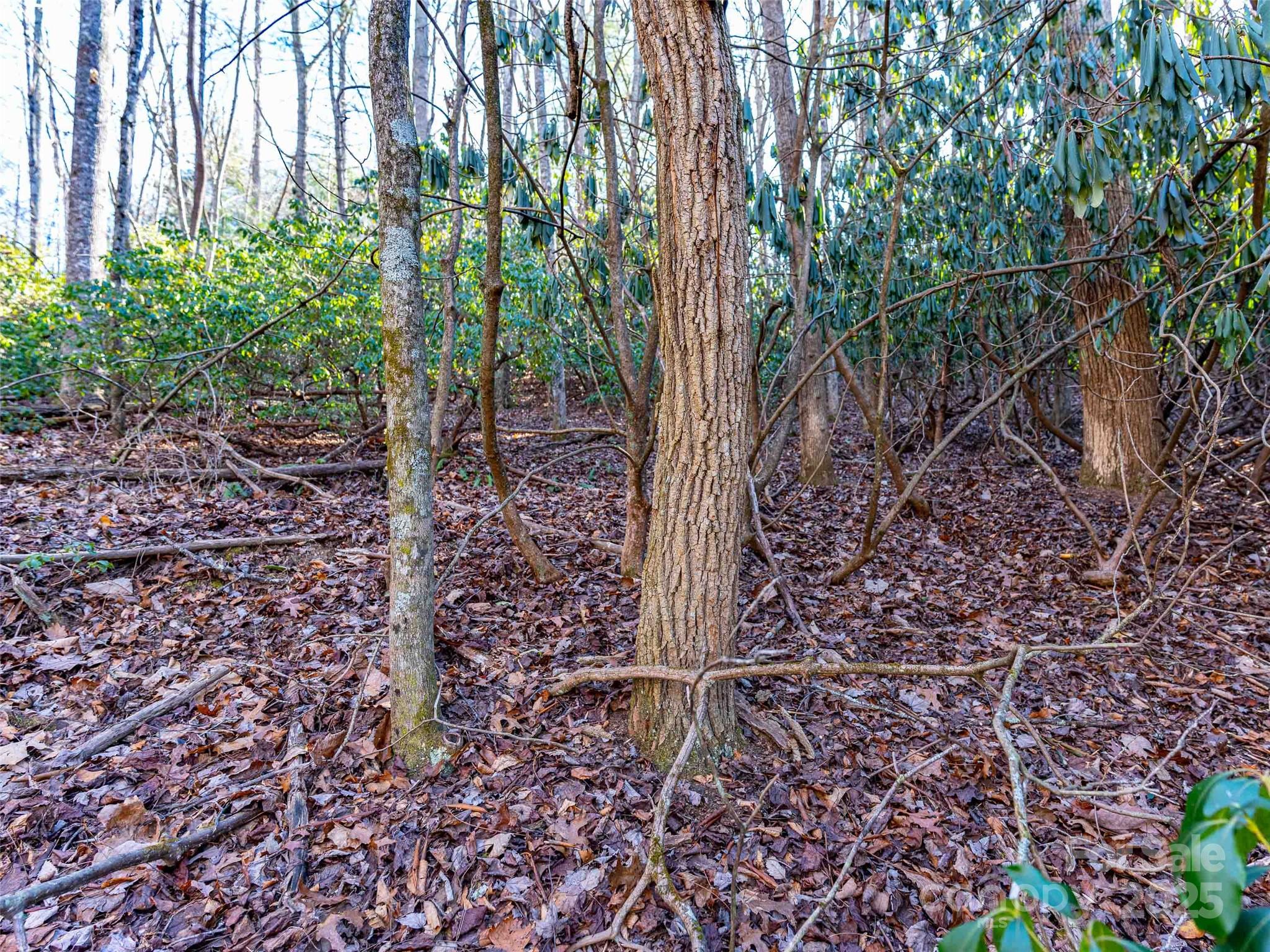 000 Chattooga Run Unit: 306