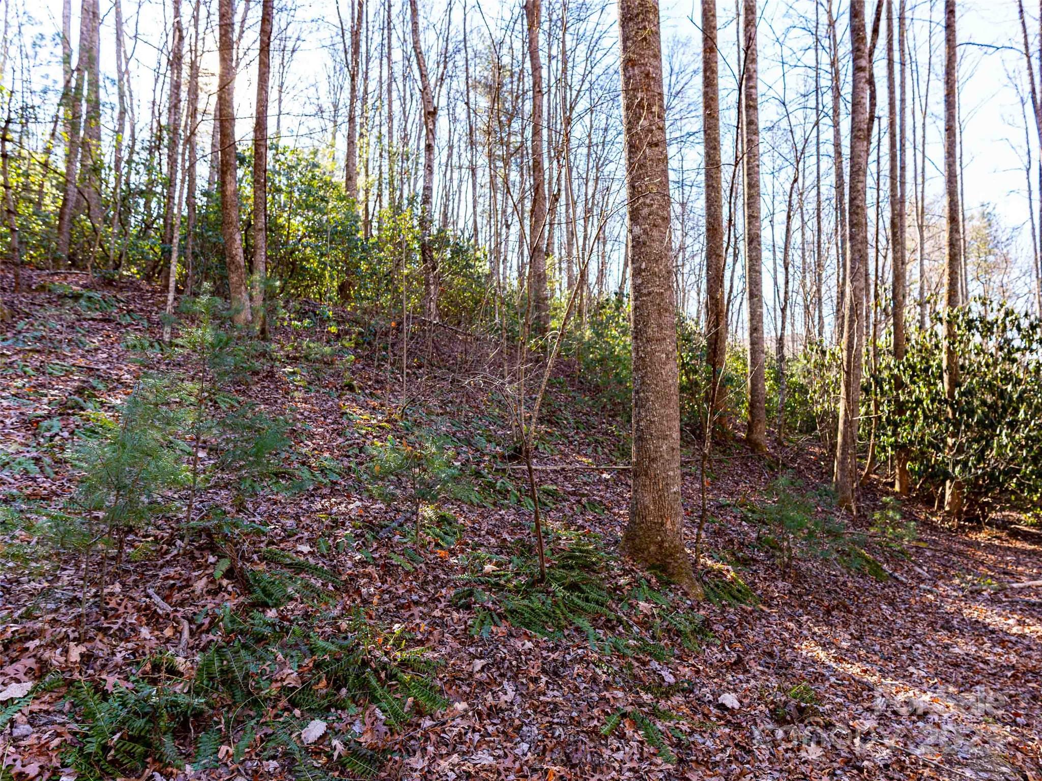 000 Chattooga Run Unit: 306