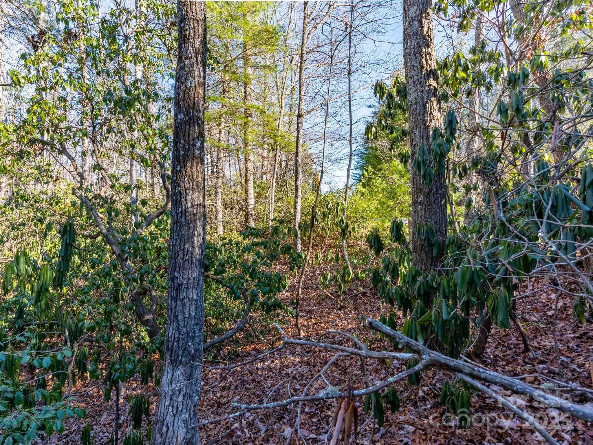 000 Chattooga Run Unit: 306