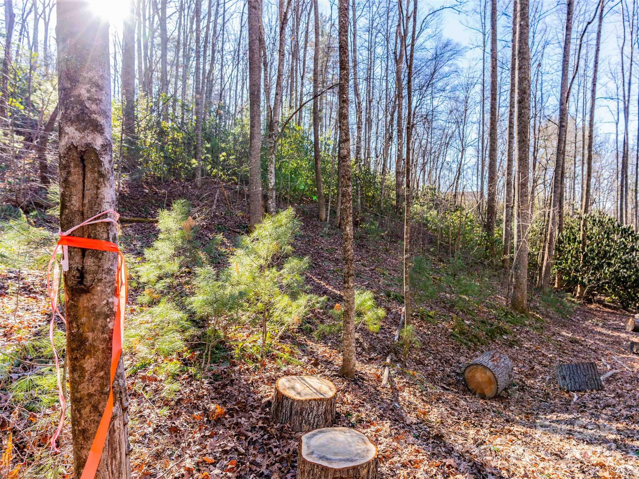 000 Chattooga Run Unit: 306