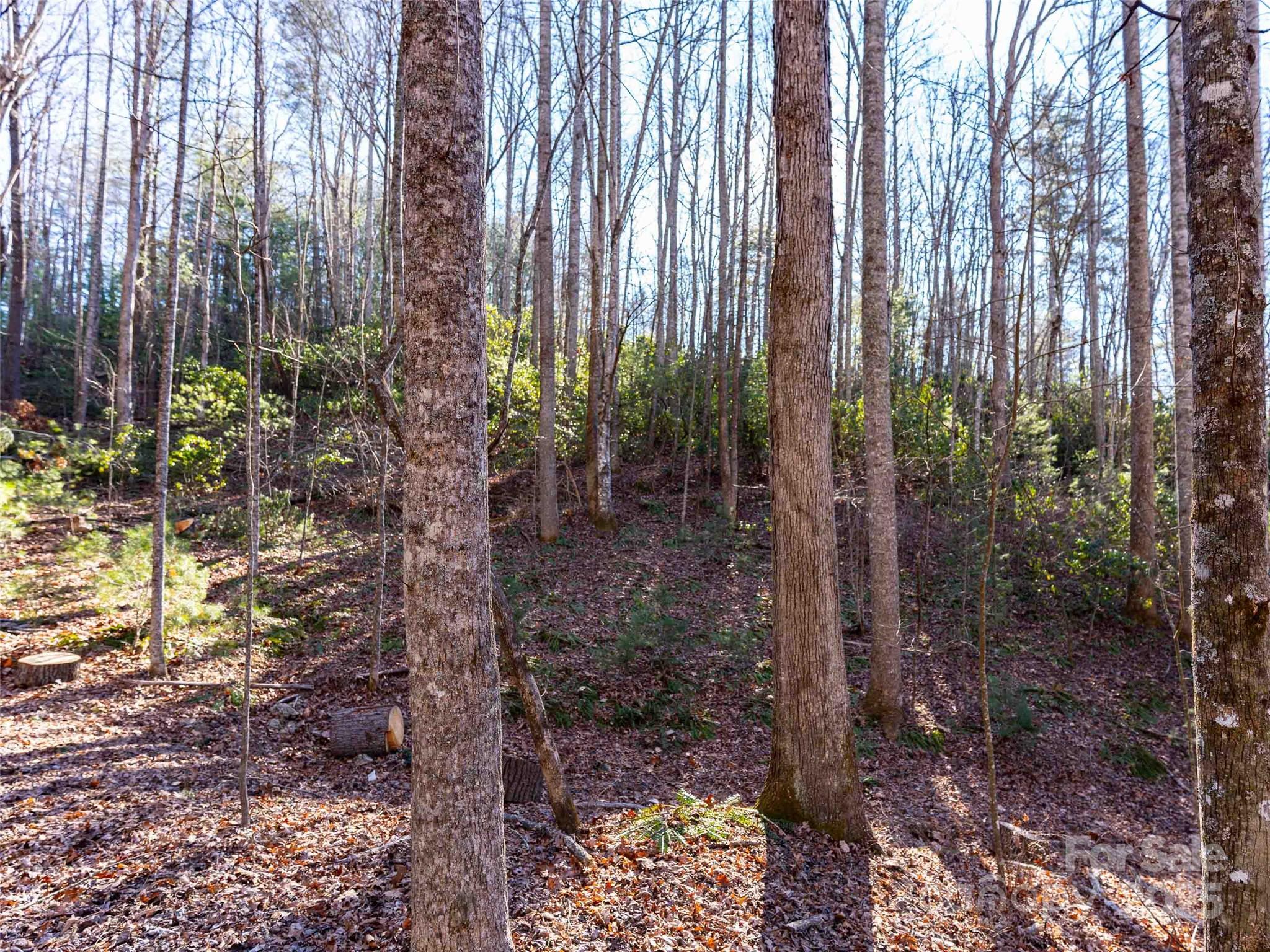 000 Chattooga Run Unit: 306