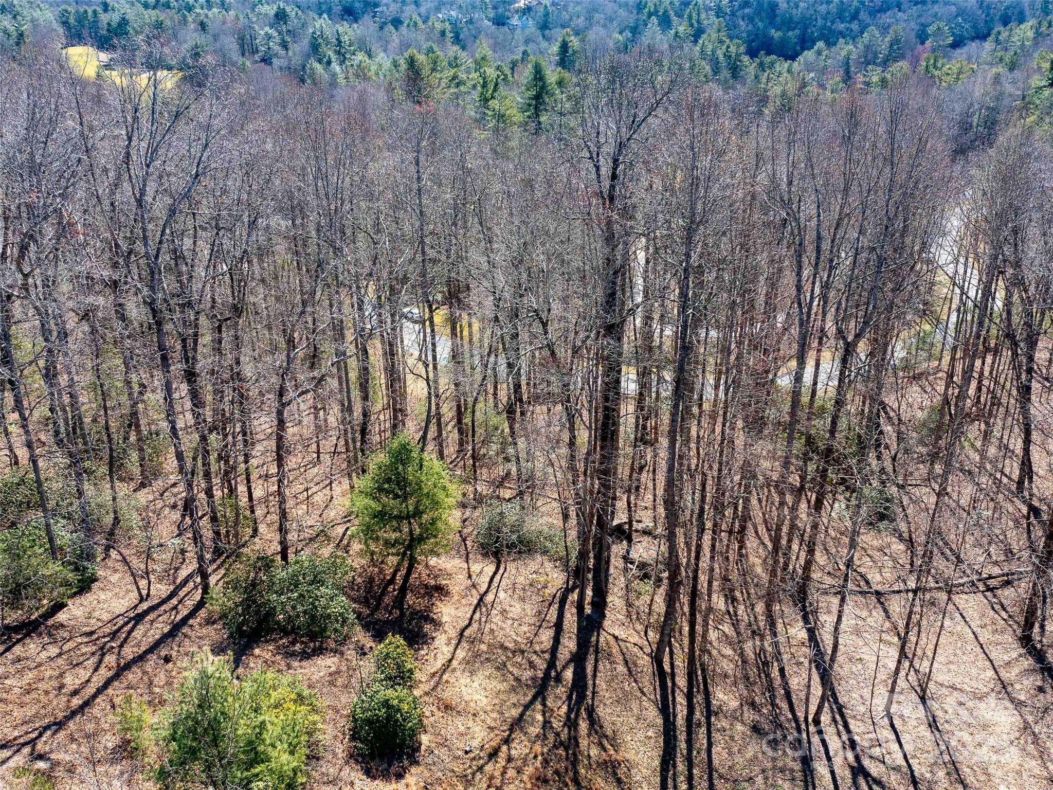 00 Chattooga Run Unit: 292R