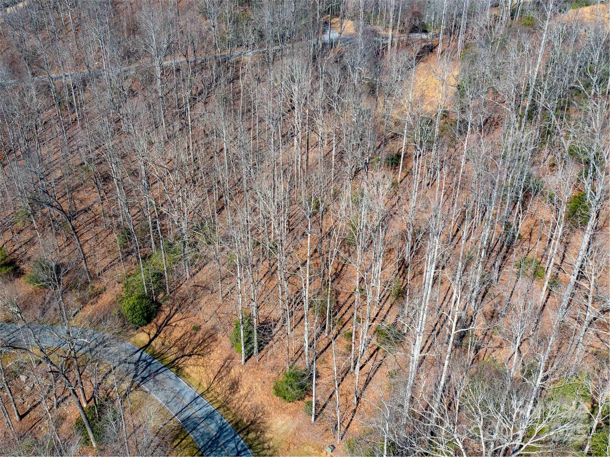 00 Chattooga Run Unit: 292R