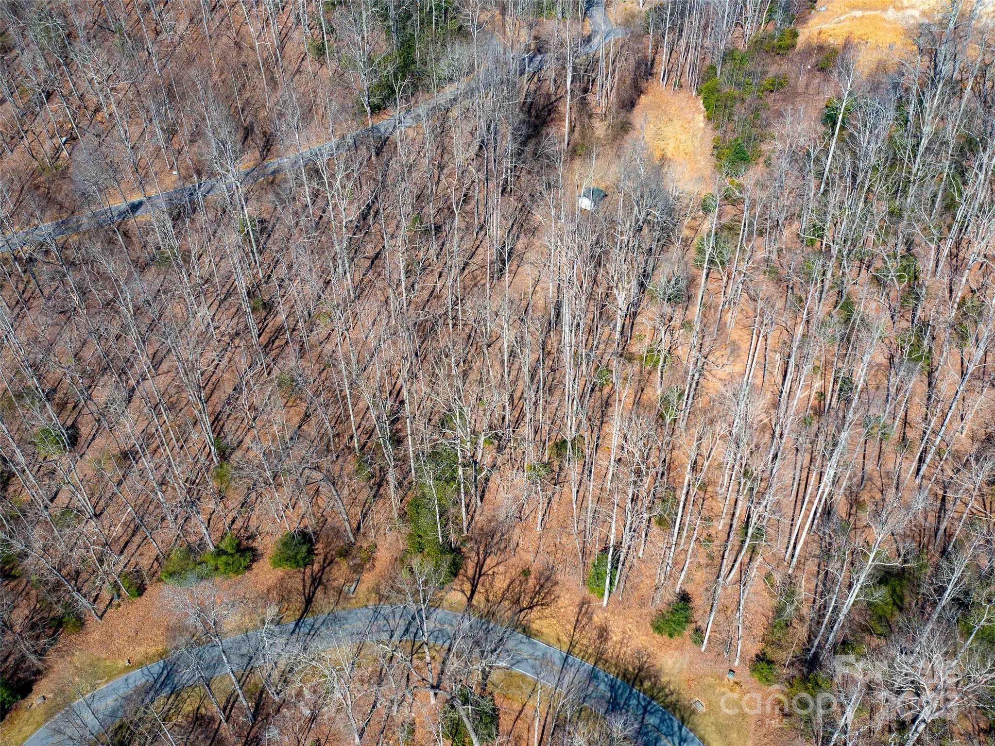 00 Chattooga Run Unit: 292R