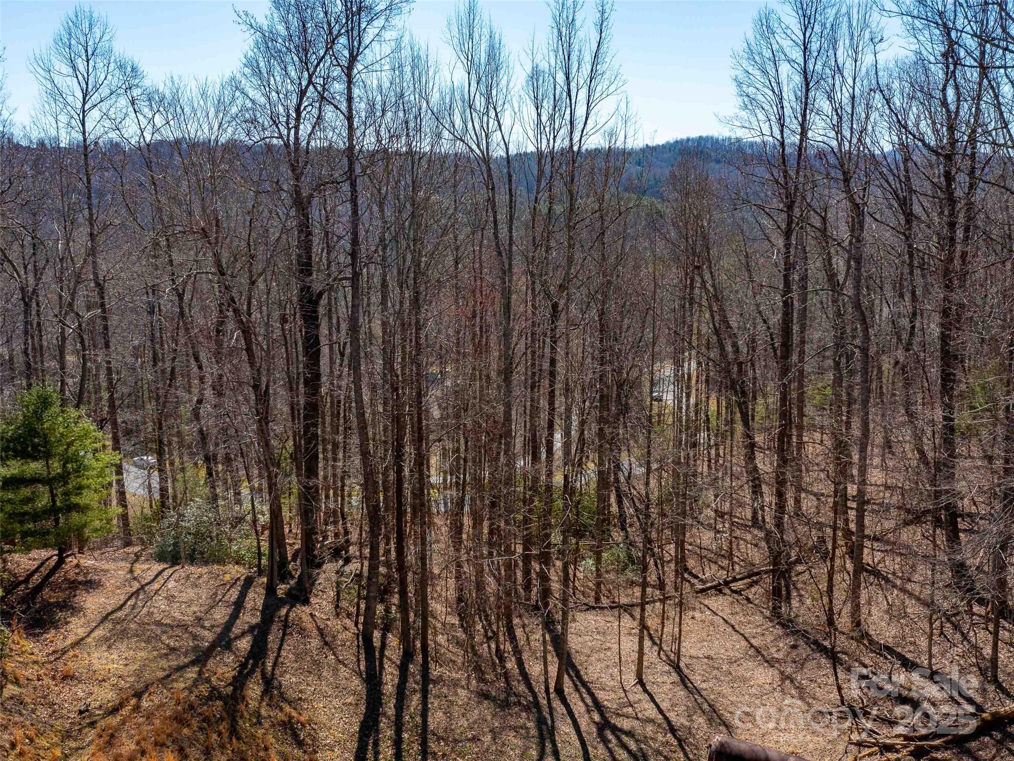 00 Chattooga Run Unit: 292R