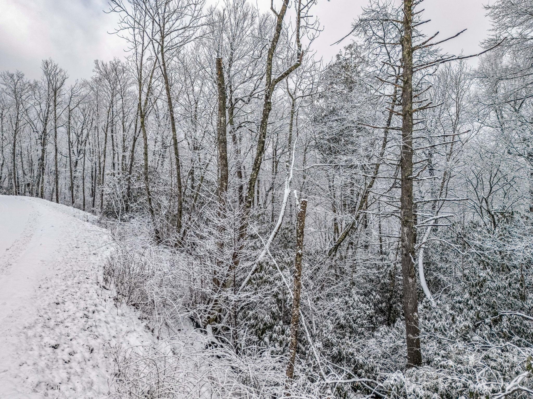 LT D54 Springwater Road Unit: D54