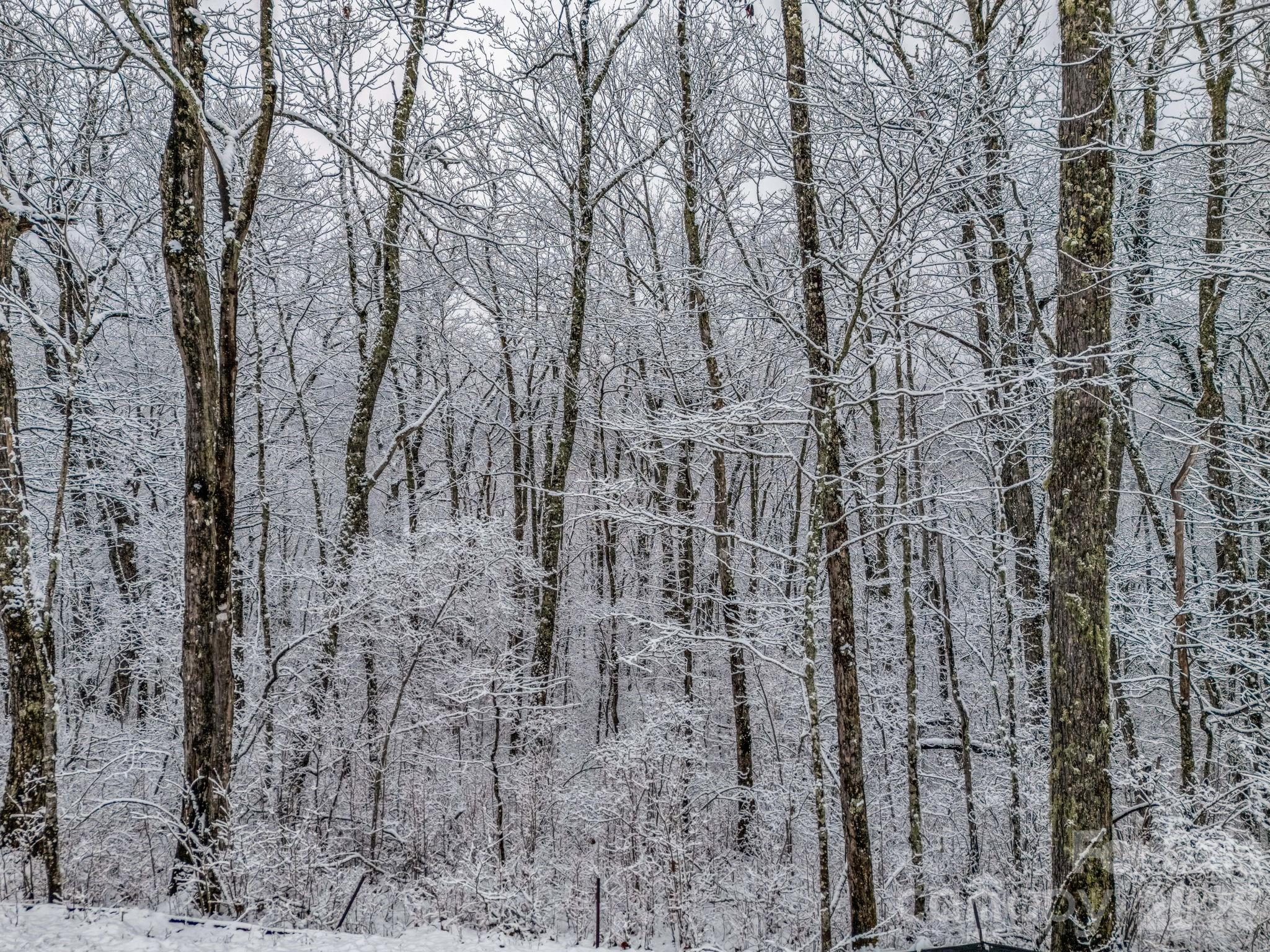 LT D54 Springwater Road Unit: D54