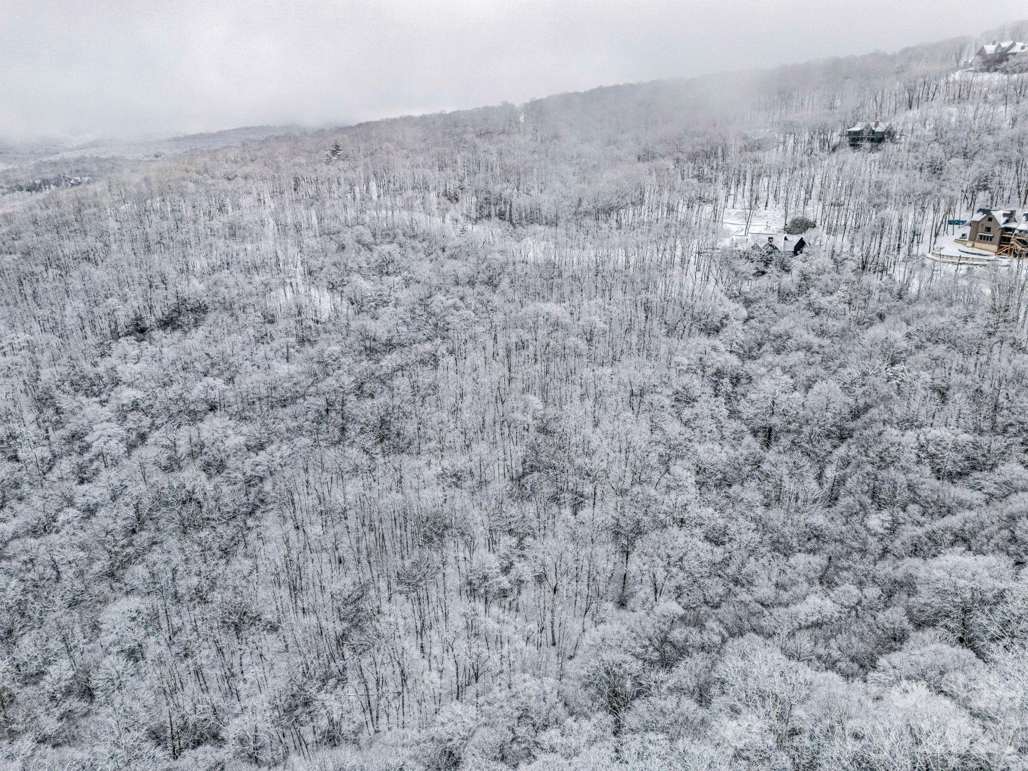 LT D54 Springwater Road Unit: D54