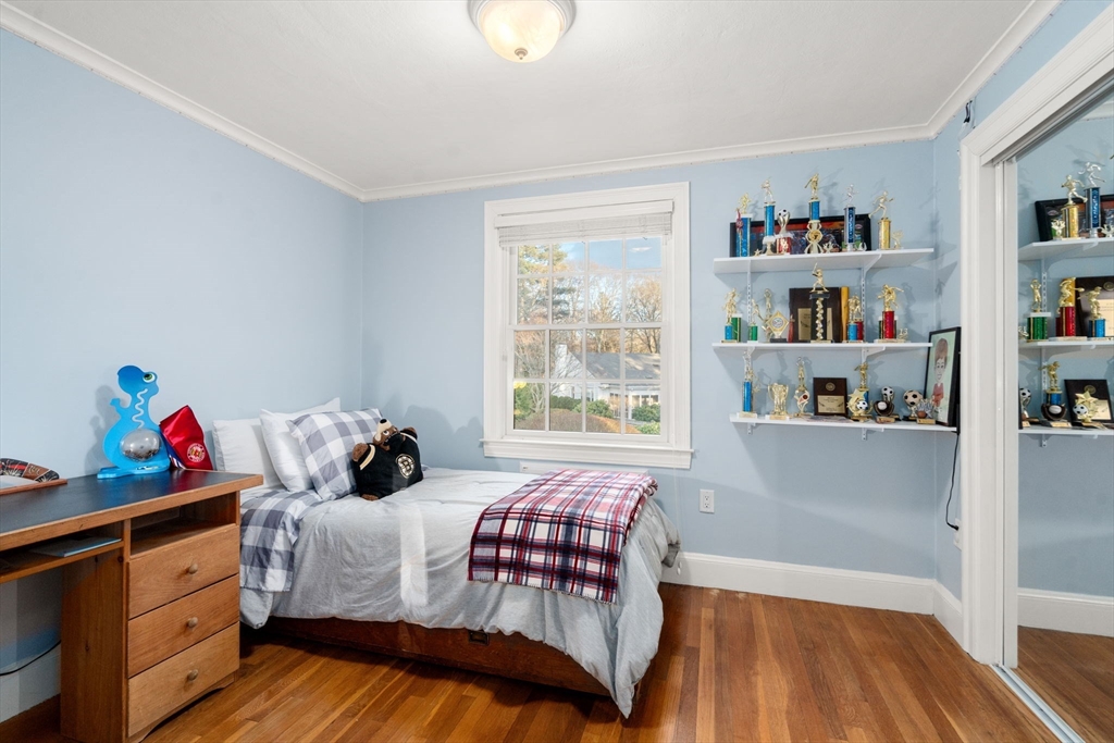 55 Evelyn Rd